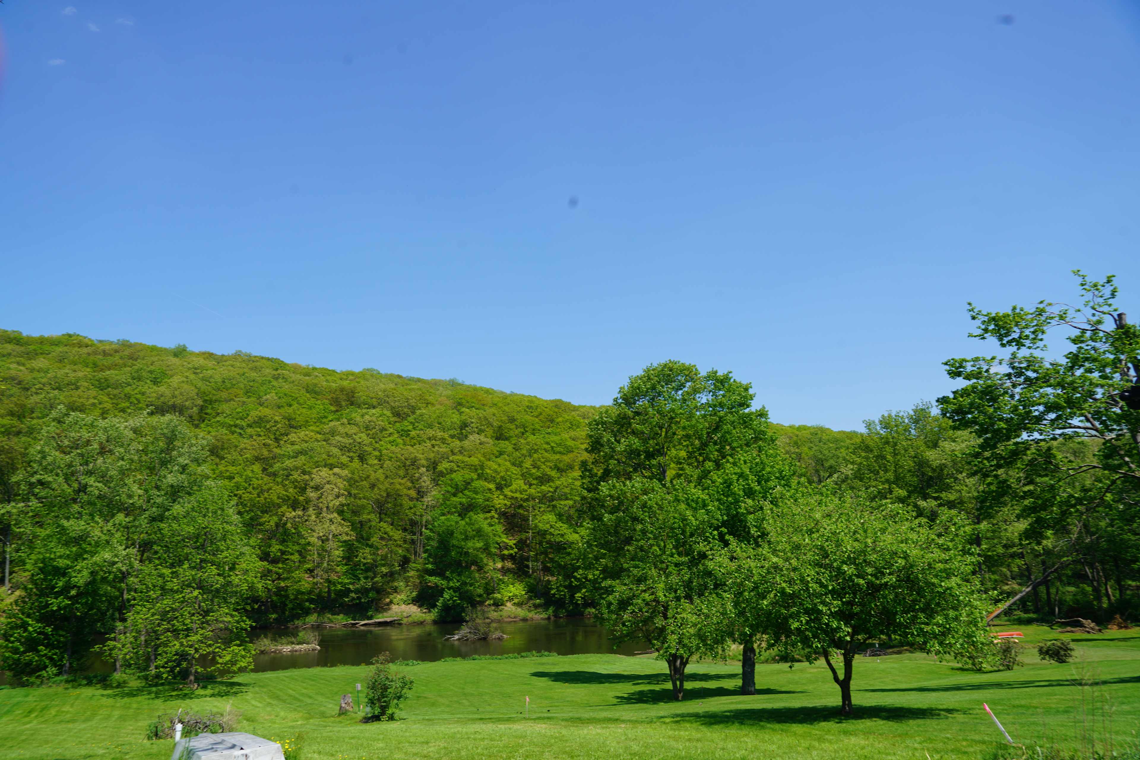 Clarion River View