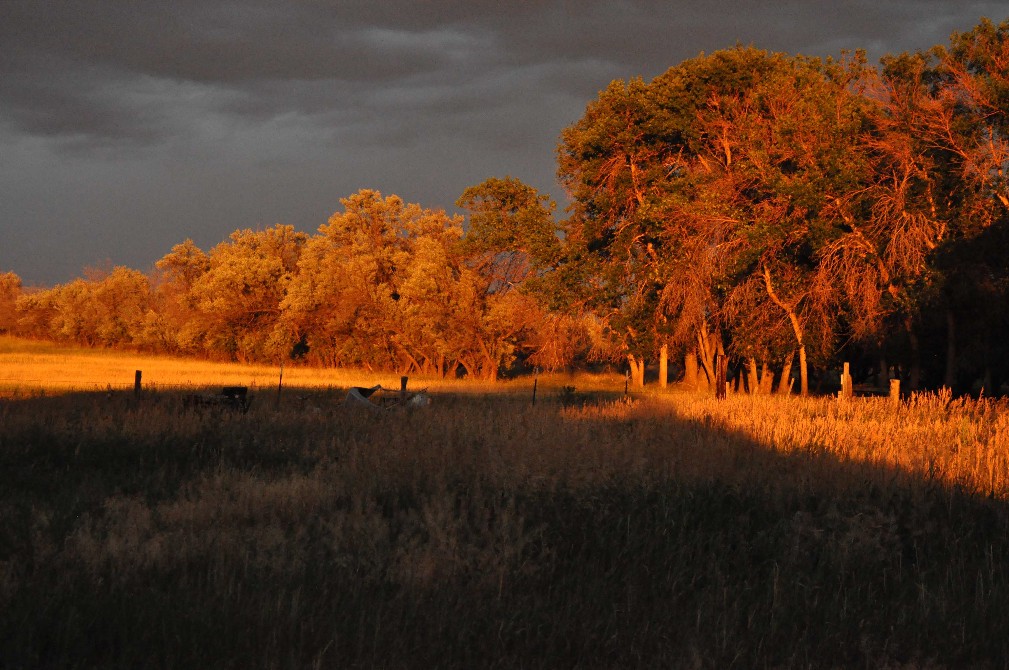 Cowtown Ranch