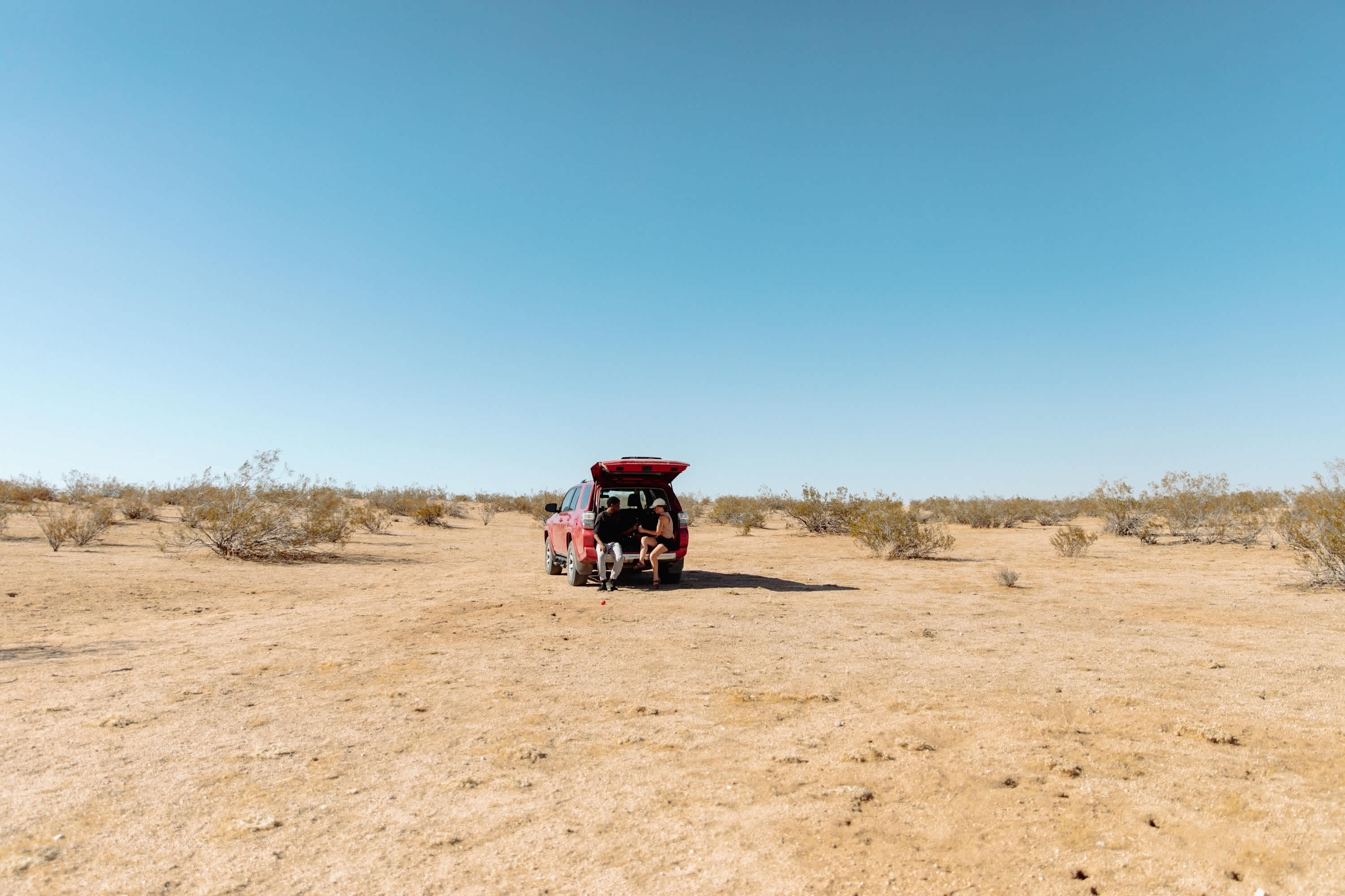 Desert Wonderland