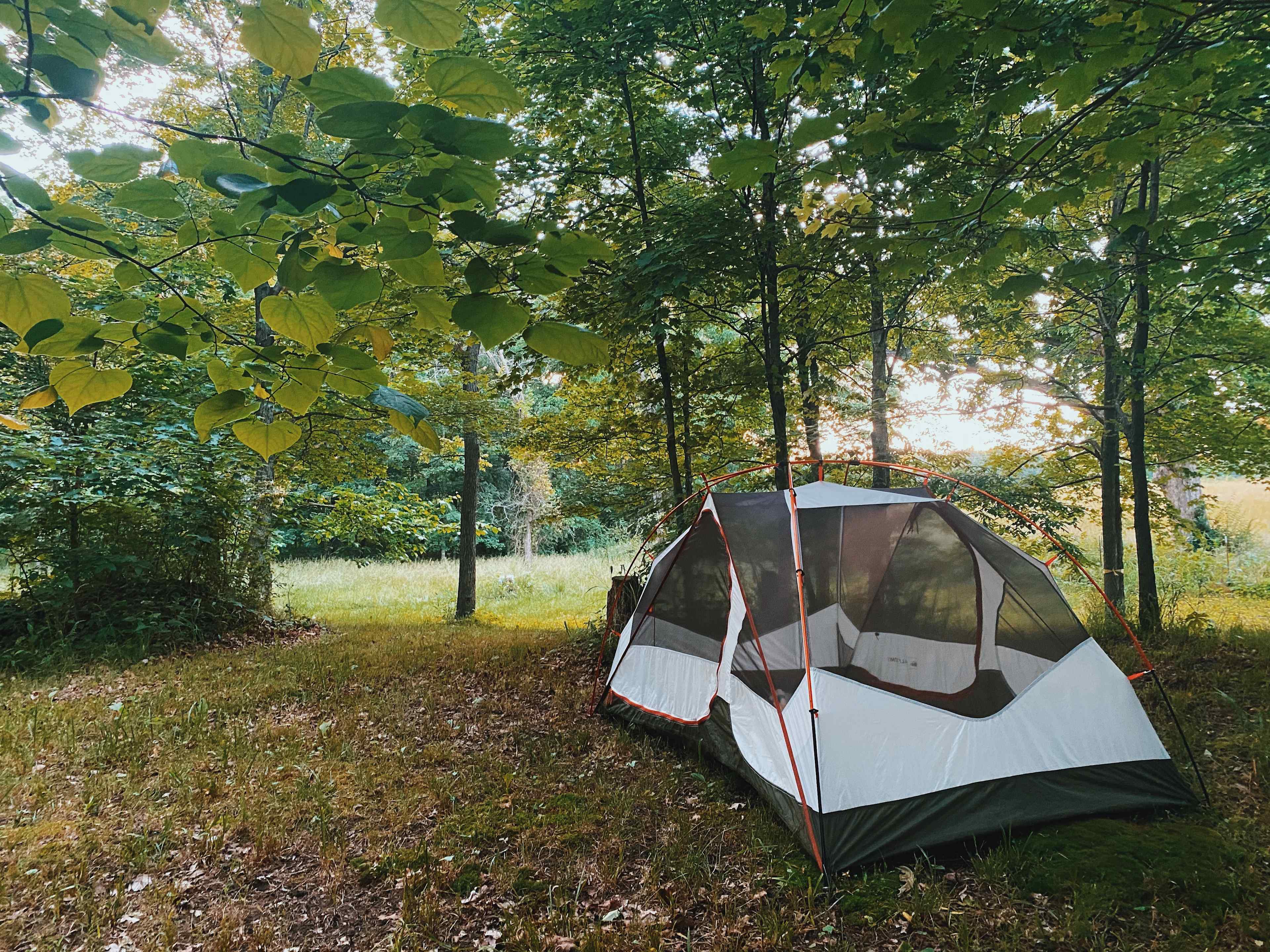 Camping Near Prairie du Rocher, IL, US: 20 Best Campgrounds 2026 | Hipcamp