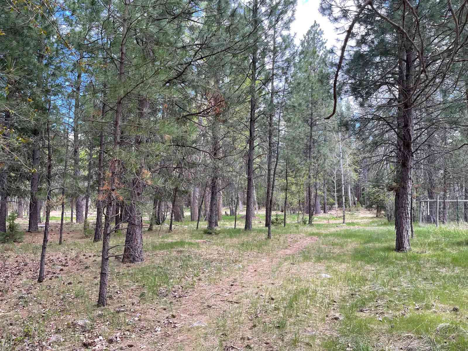 TK Ranch