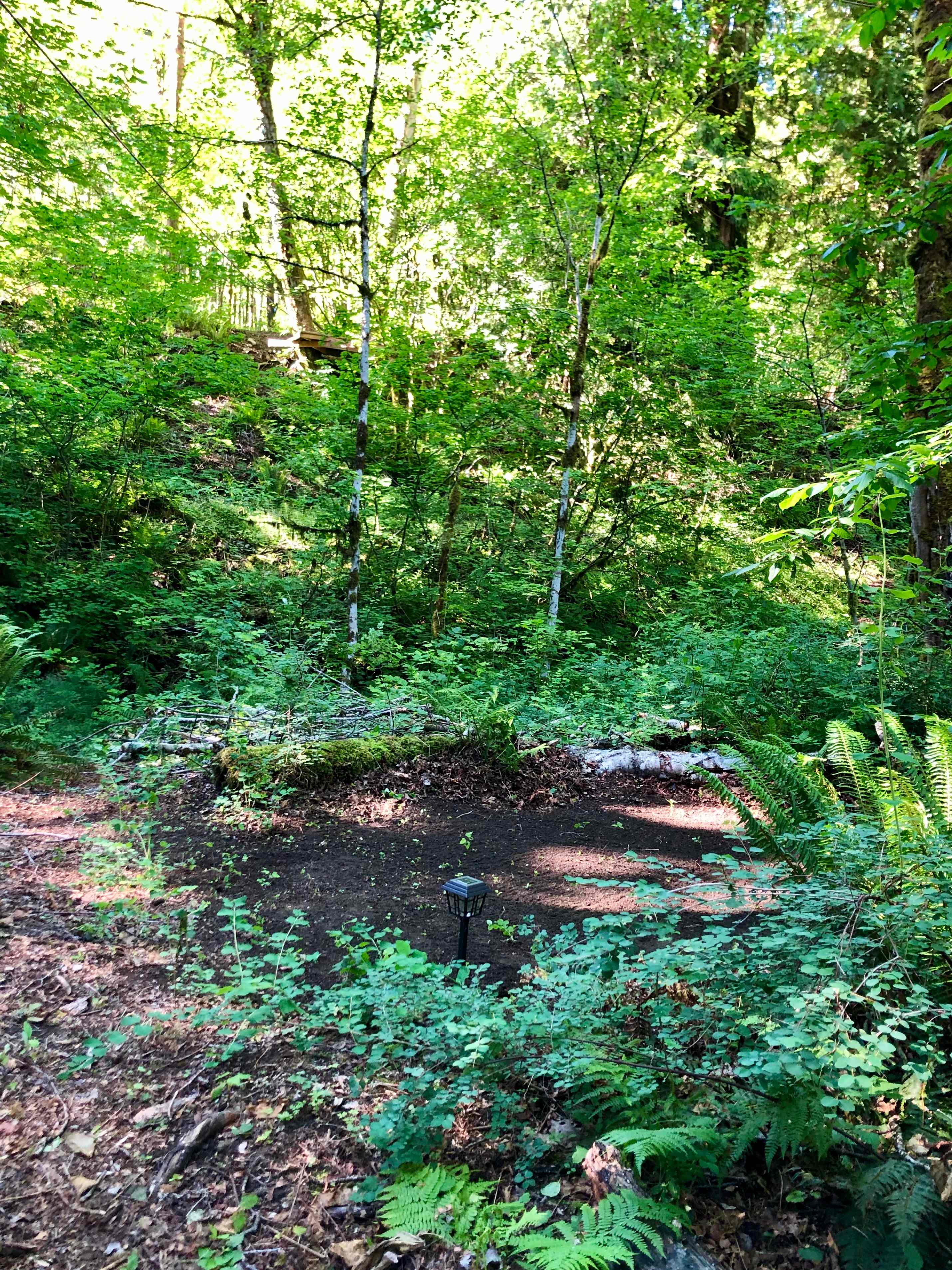 Campsite #1
