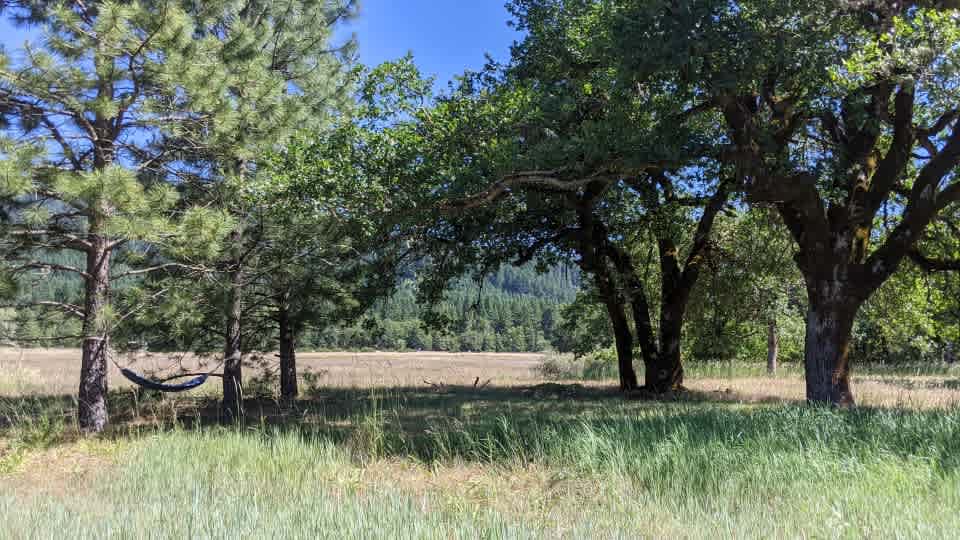 Actual camping spot, with hammock.