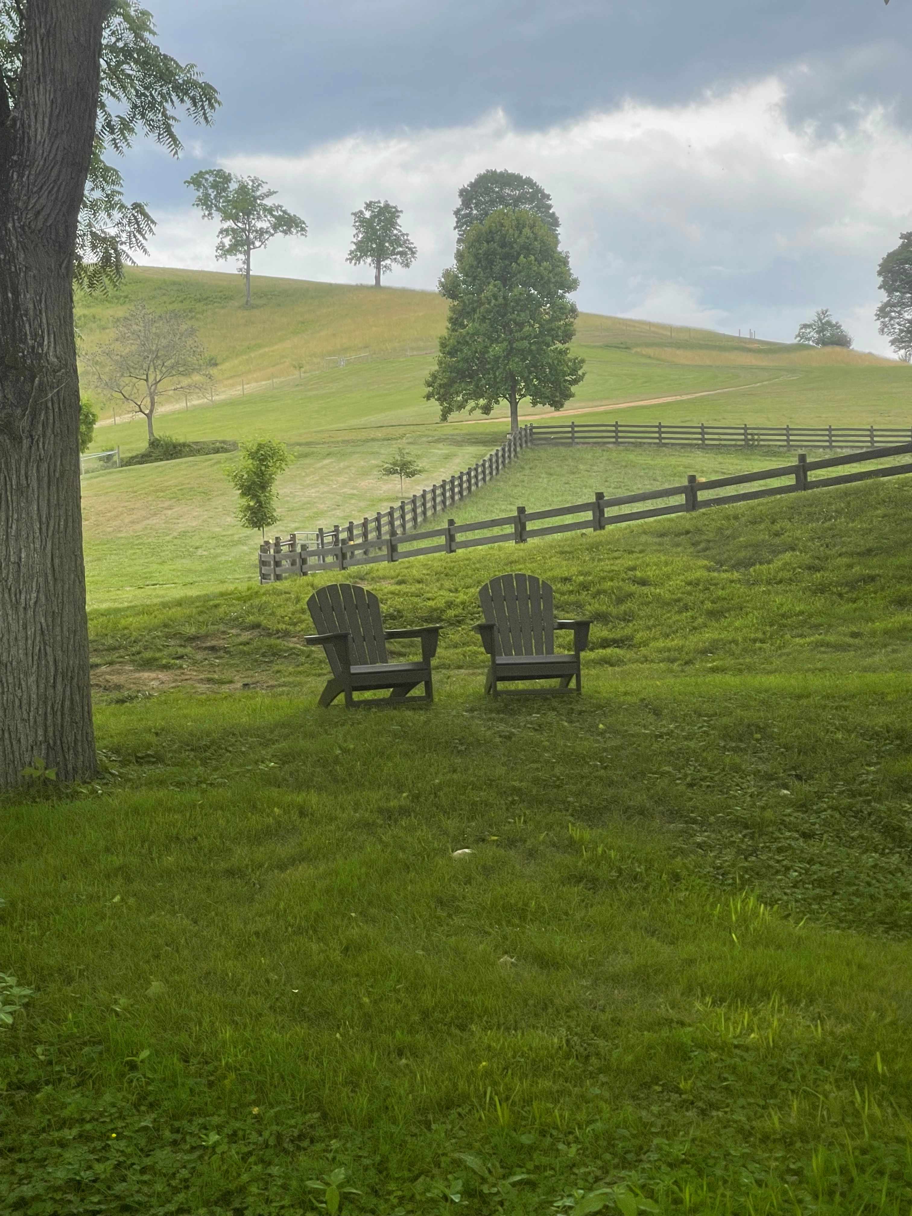 Smoky Mtn Mangalitsa River Ranch