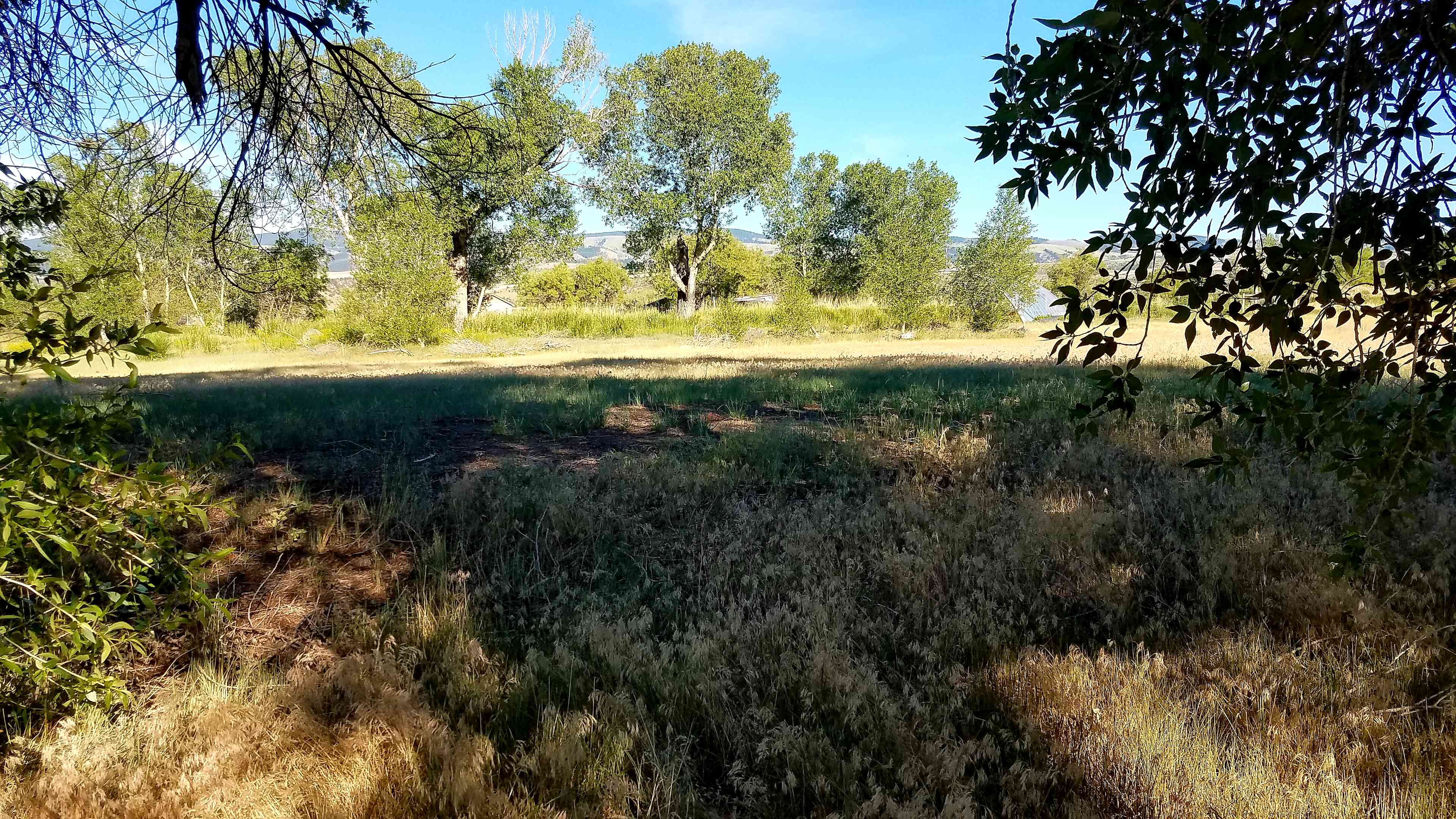I'm standing in the site, looking east, in the late afternoon.
