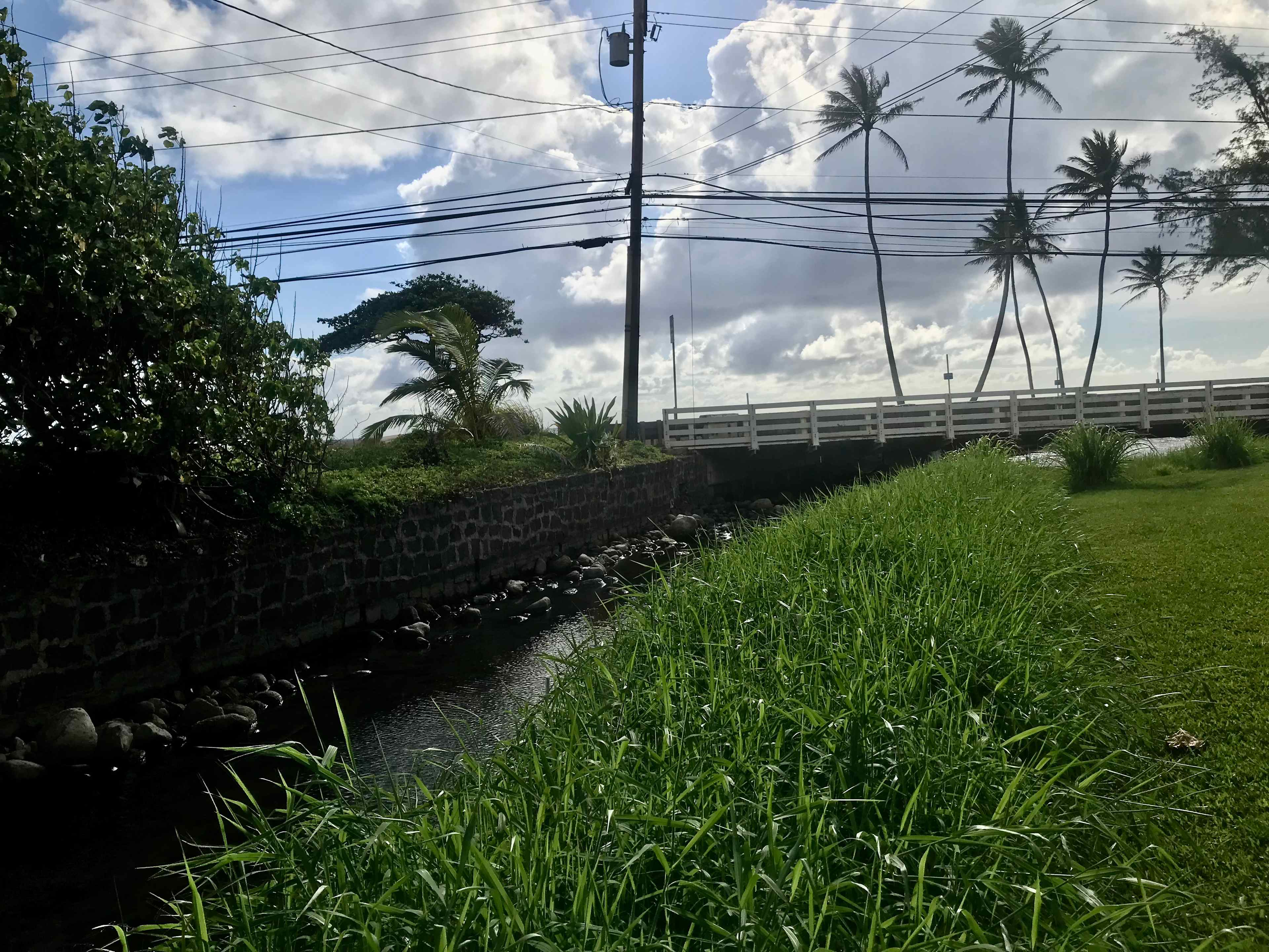 Hau'ula Homestead