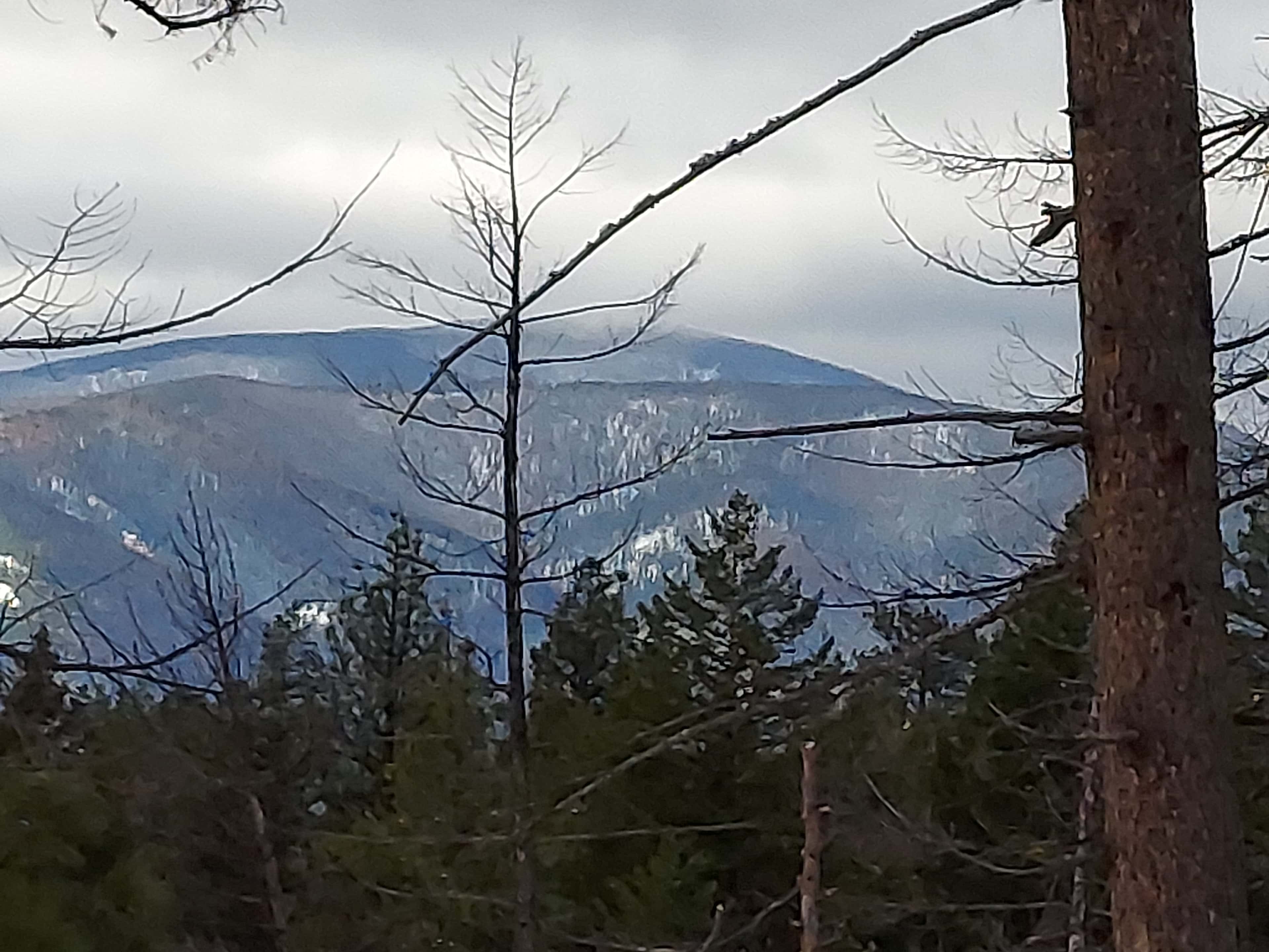 Superior lolo national forest