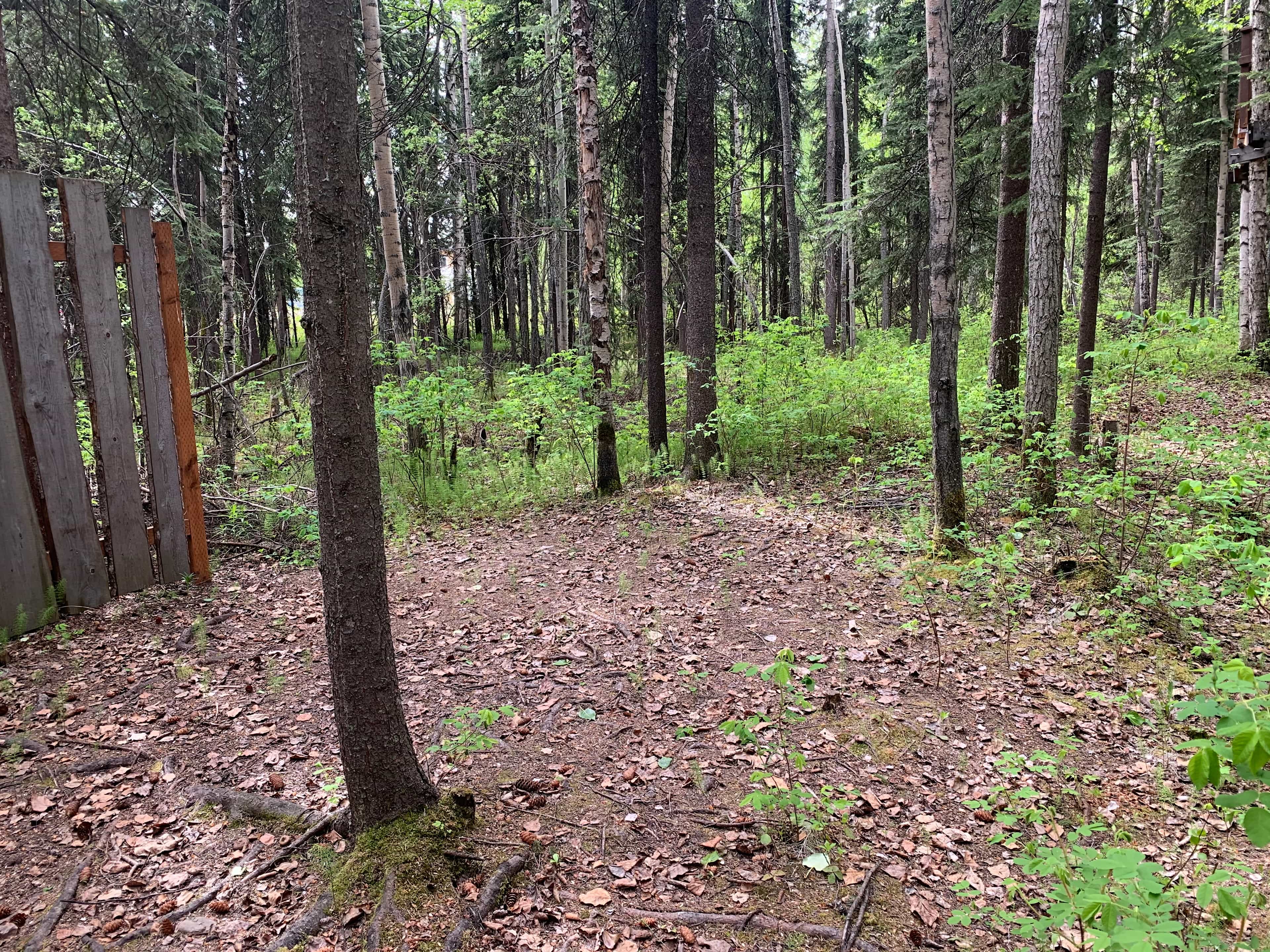 Even though we're in the city of Fairbanks, join us in our little oasis