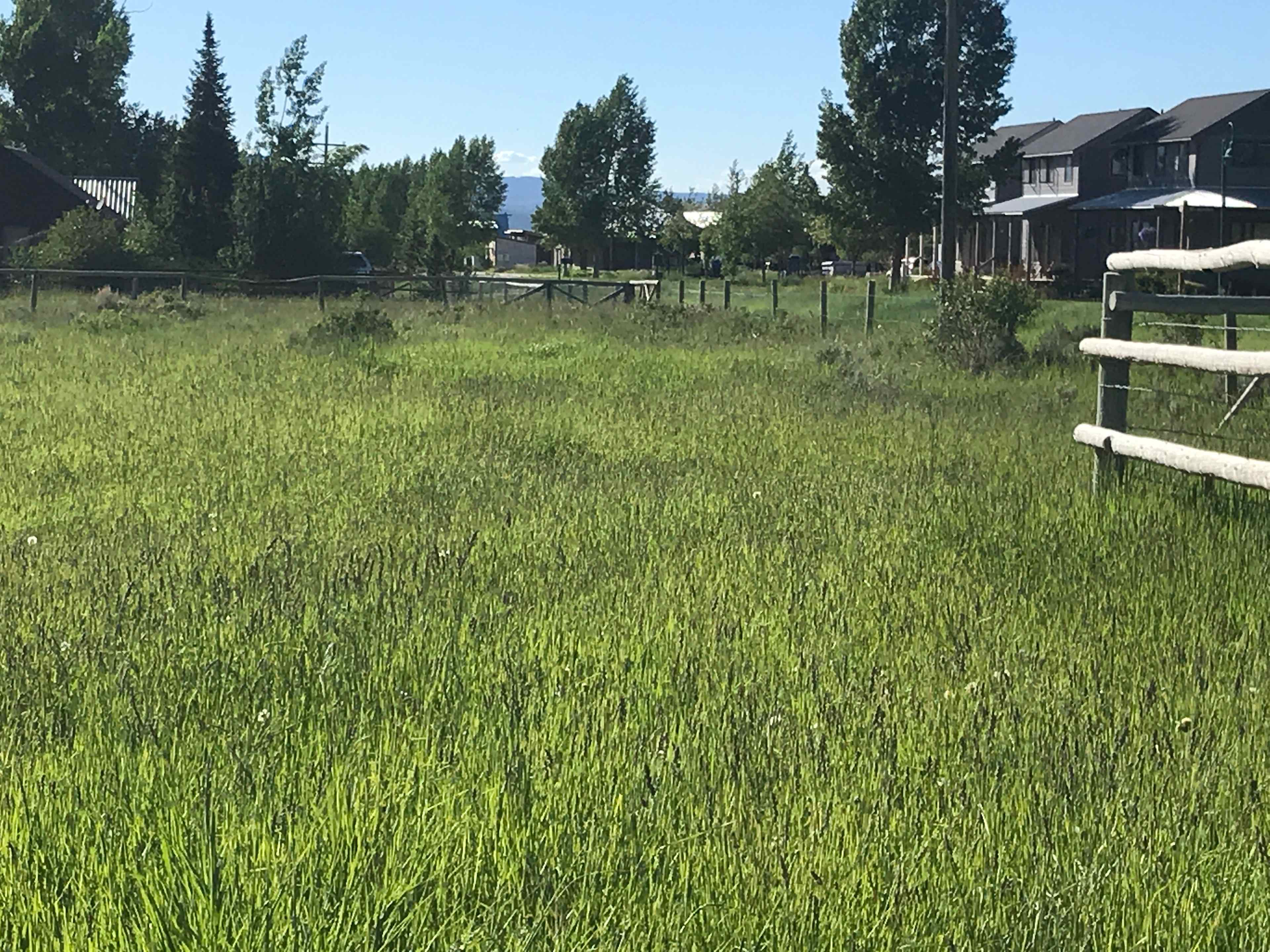 looking northwest of your campsite.
The adjoining property owner also has a campsite, so you could have one other camper on the property.  Their site is a back in site...Ours is a pull through right next to the fenced off trees and picnic table.