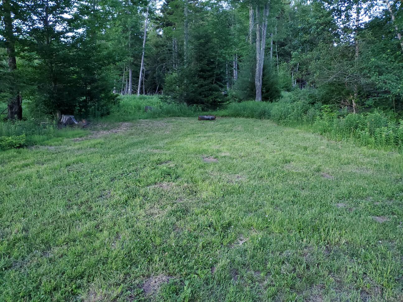 Site 2
