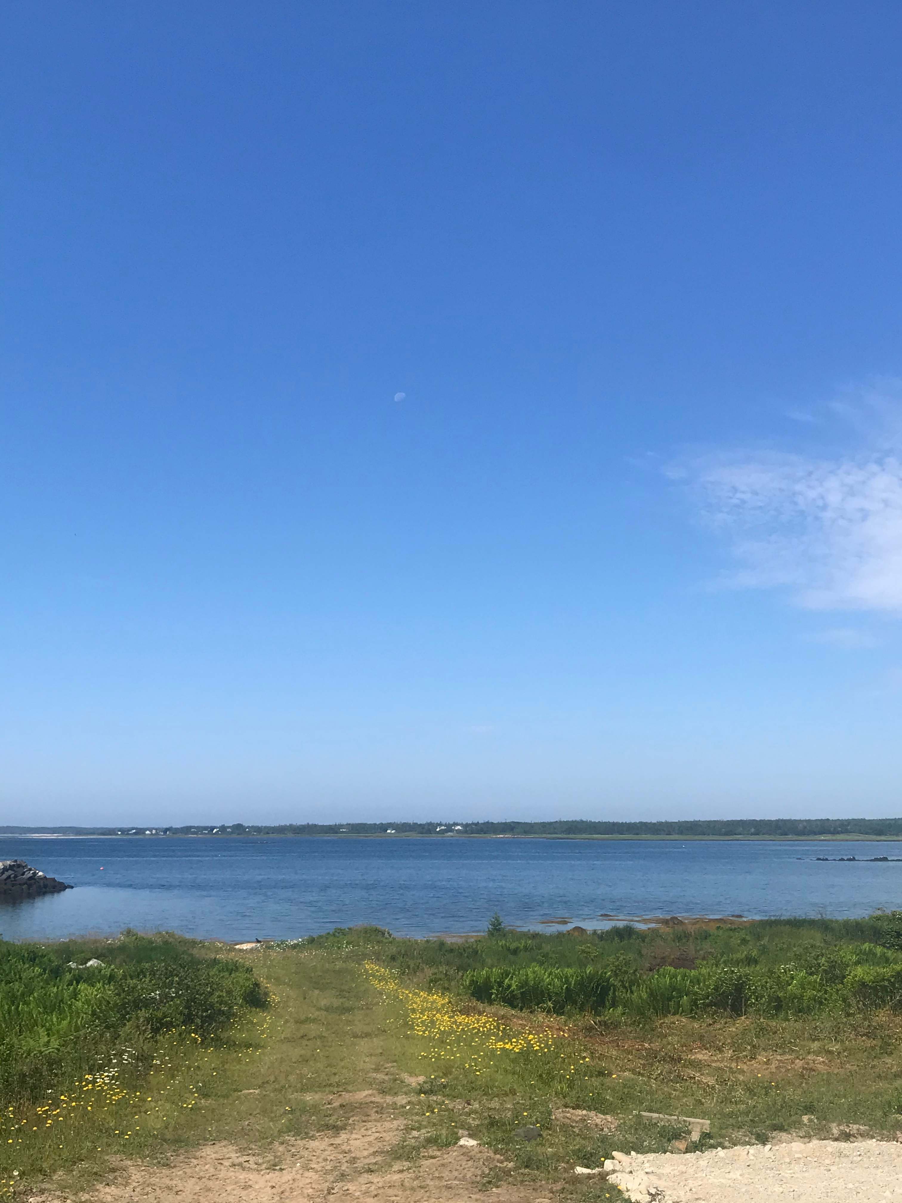 Ingomar Oceanfront Camping 