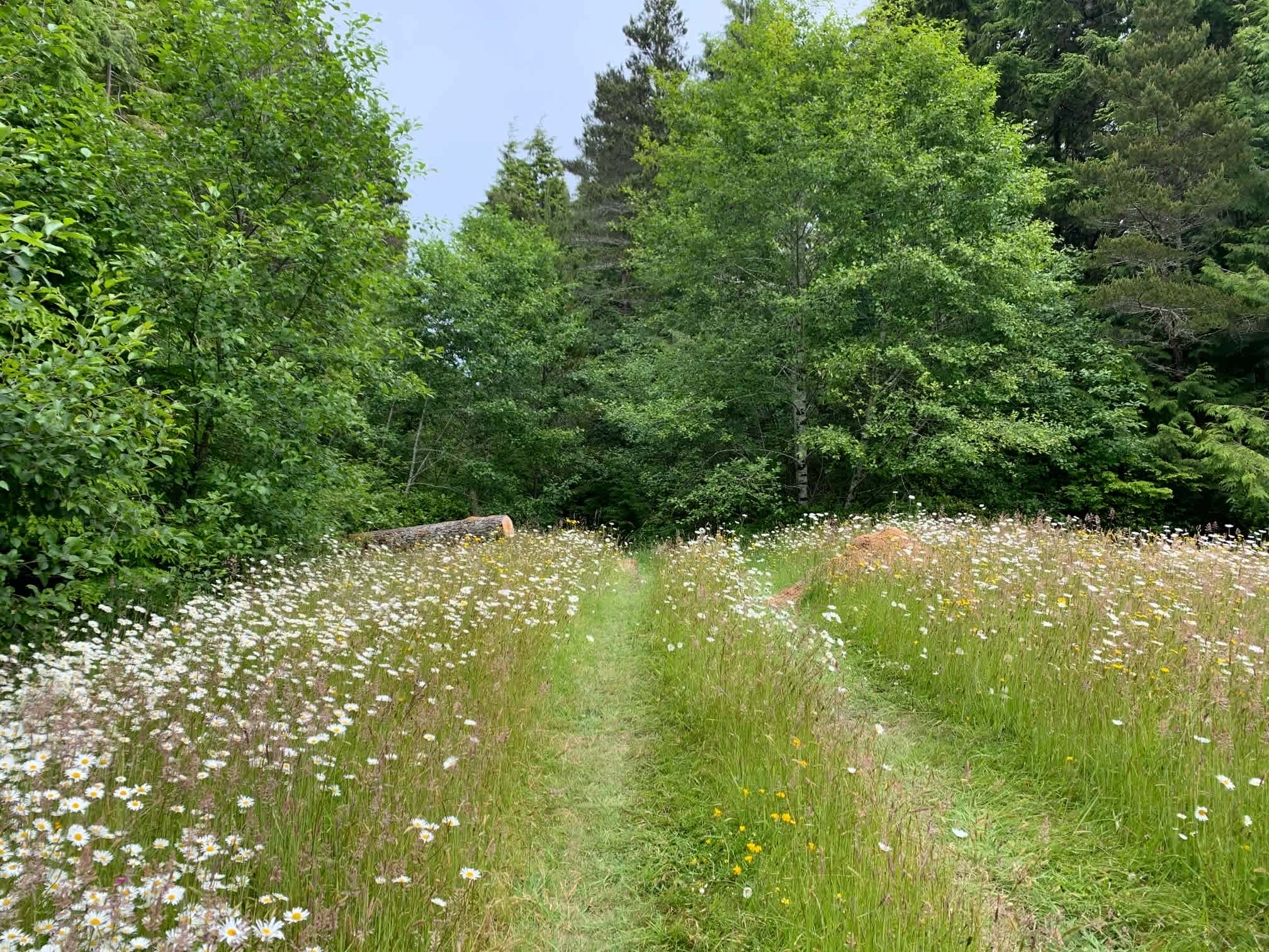The entry to trailhead to camp sites.