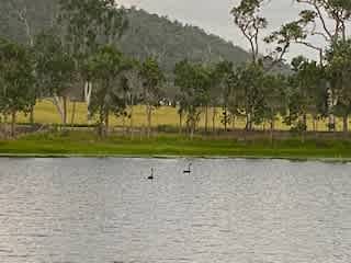 Tranquil View Camp