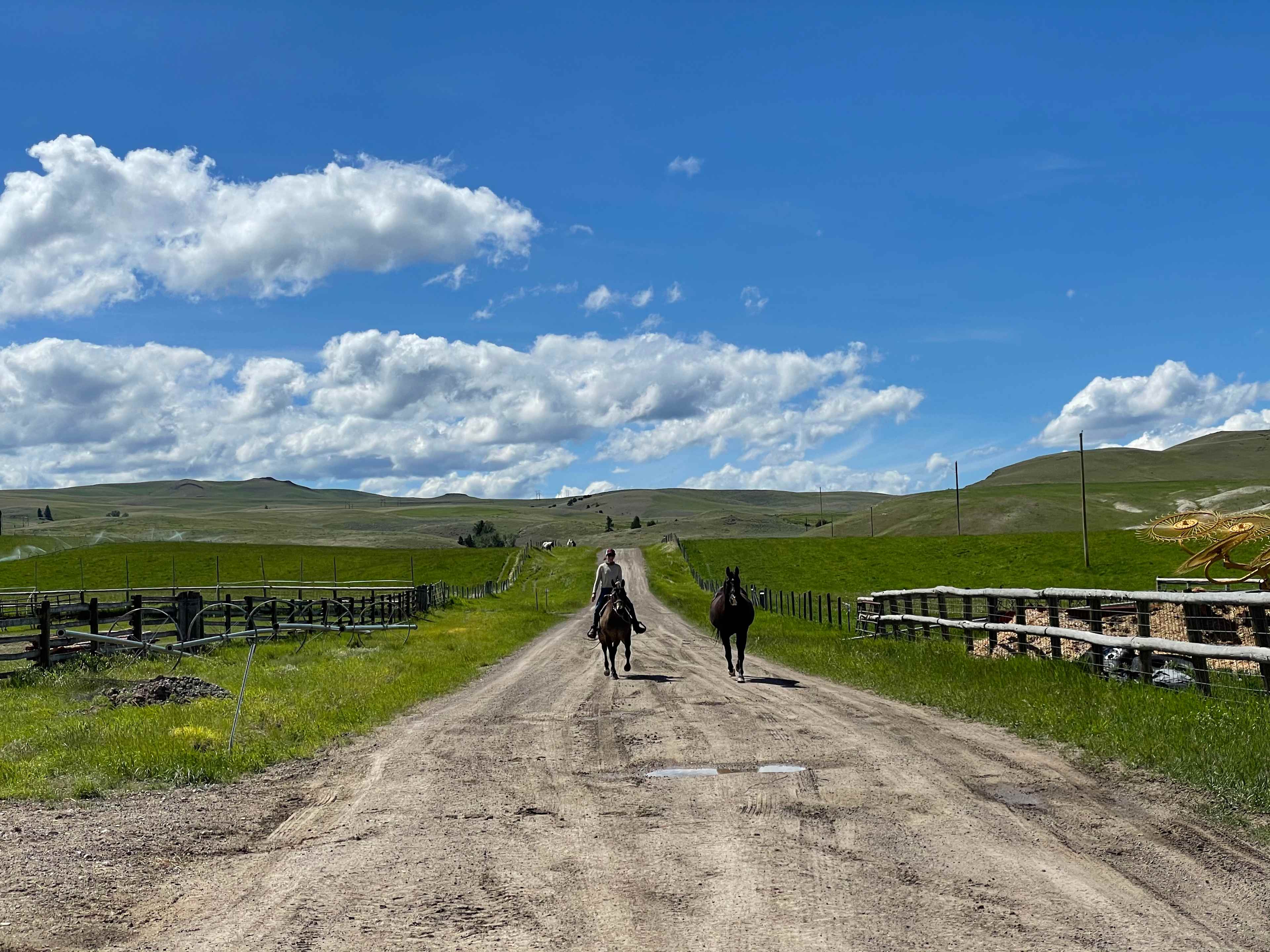 Mentzer Ranch
