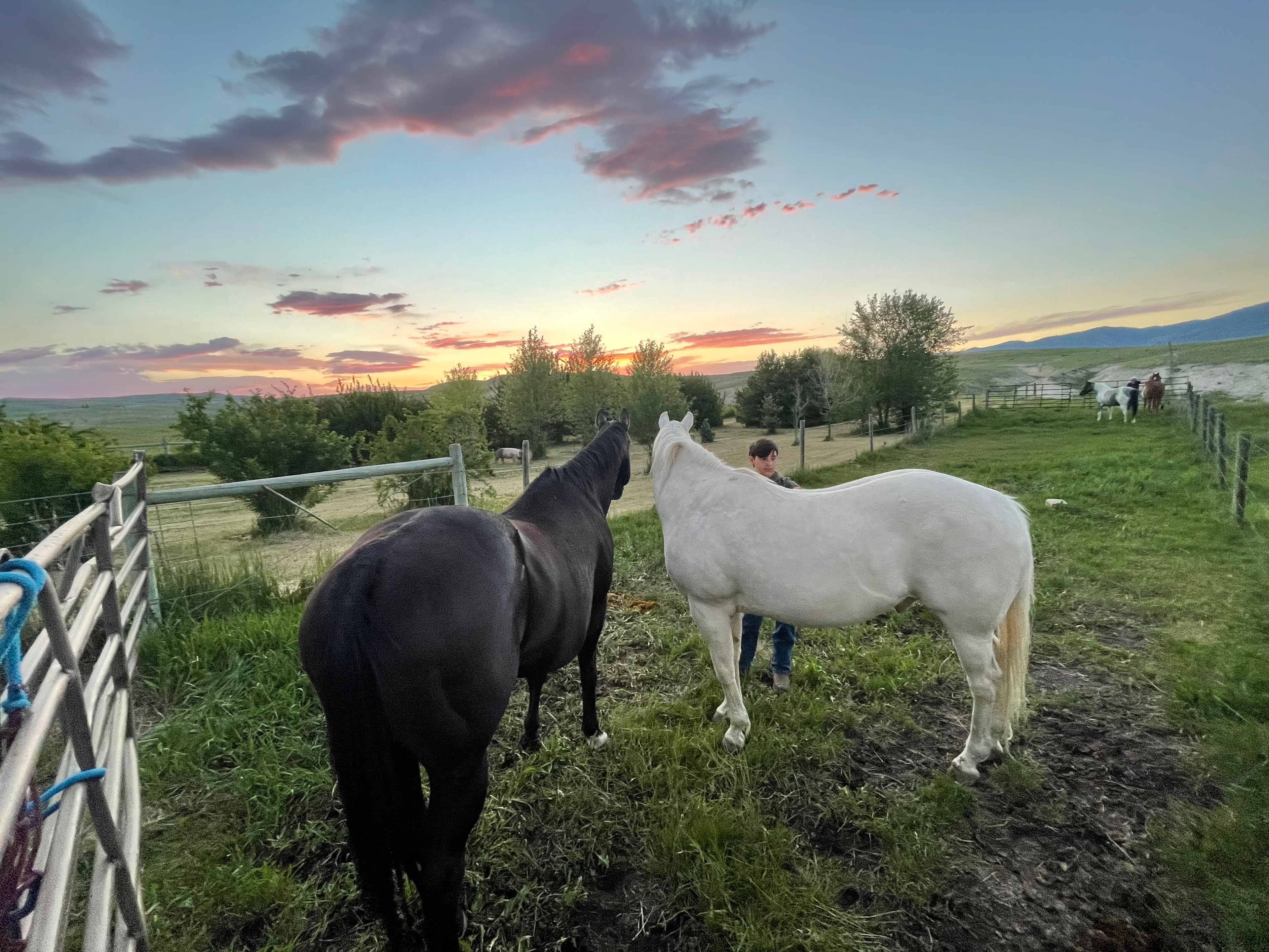 Mentzer Ranch
