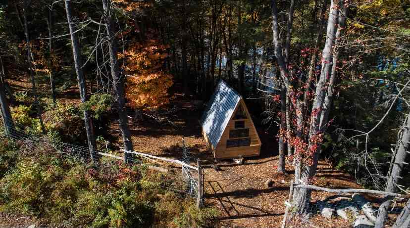 Woodsy Camp Tiny House