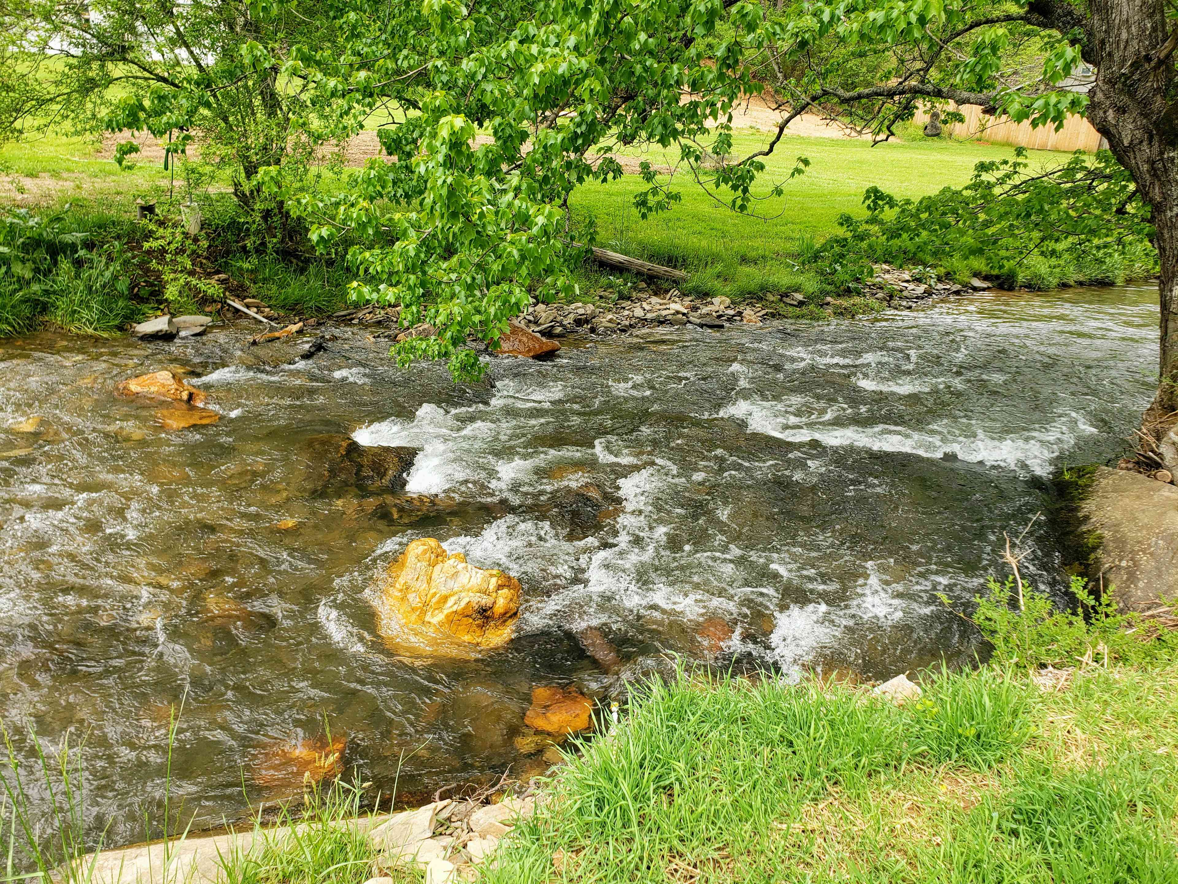 The ongoing sounds of Conleys Creek is soothing.