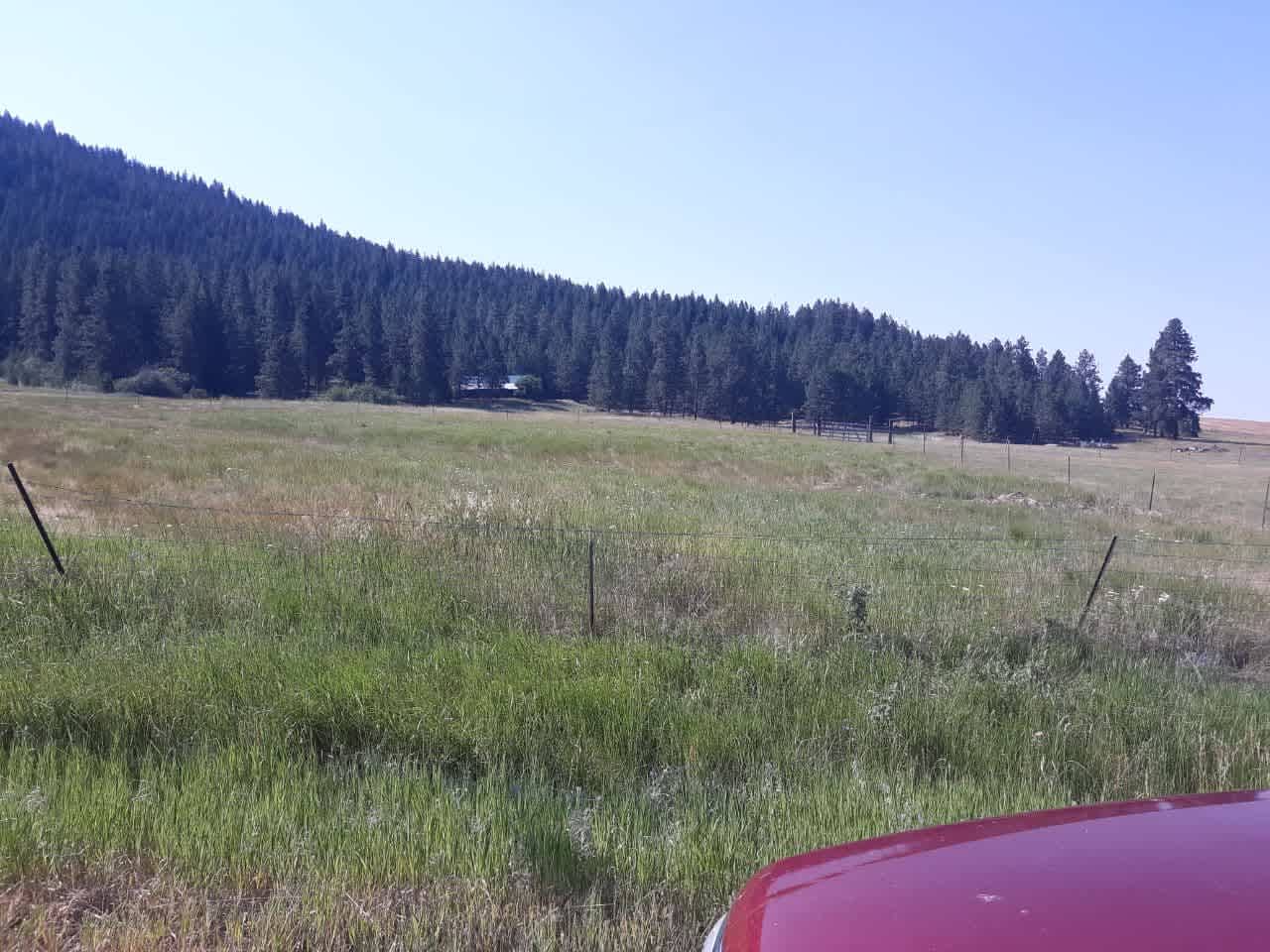 This is the best place to park, no gates to tend with so you can come and go. Livestock is fenced out of this front part