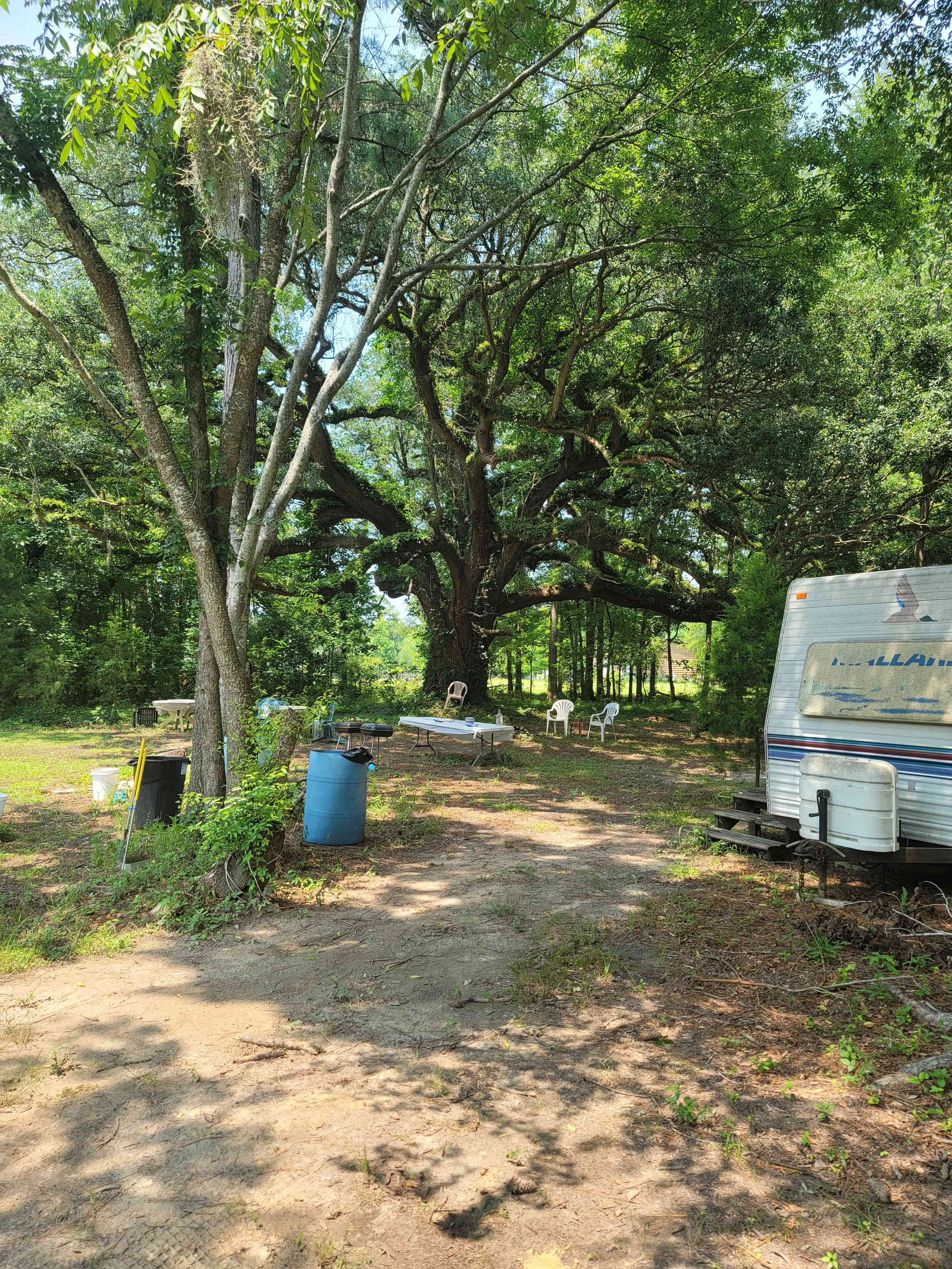 Our site and the common area next to us