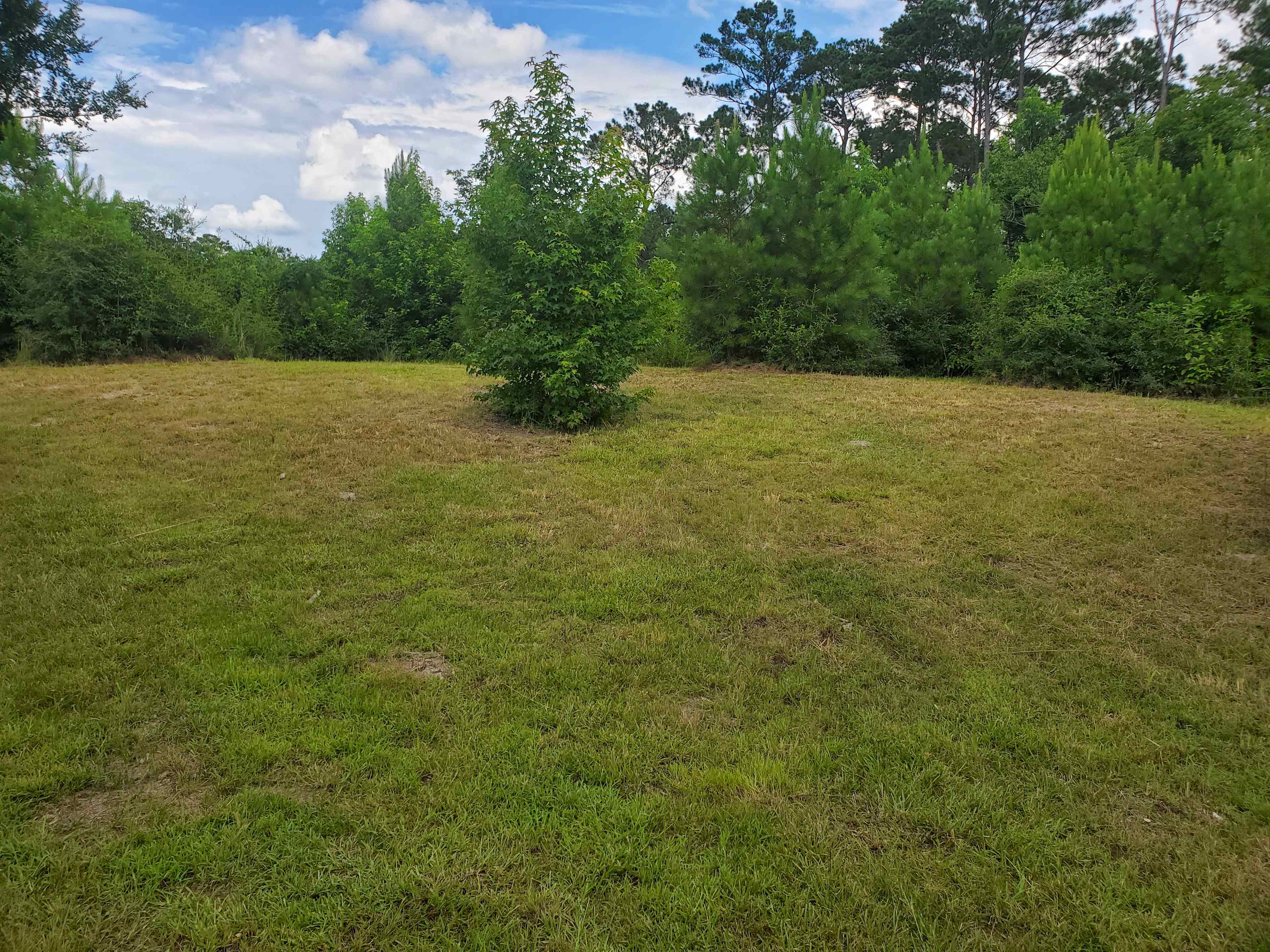 Far side area, close to the deep end of pit
