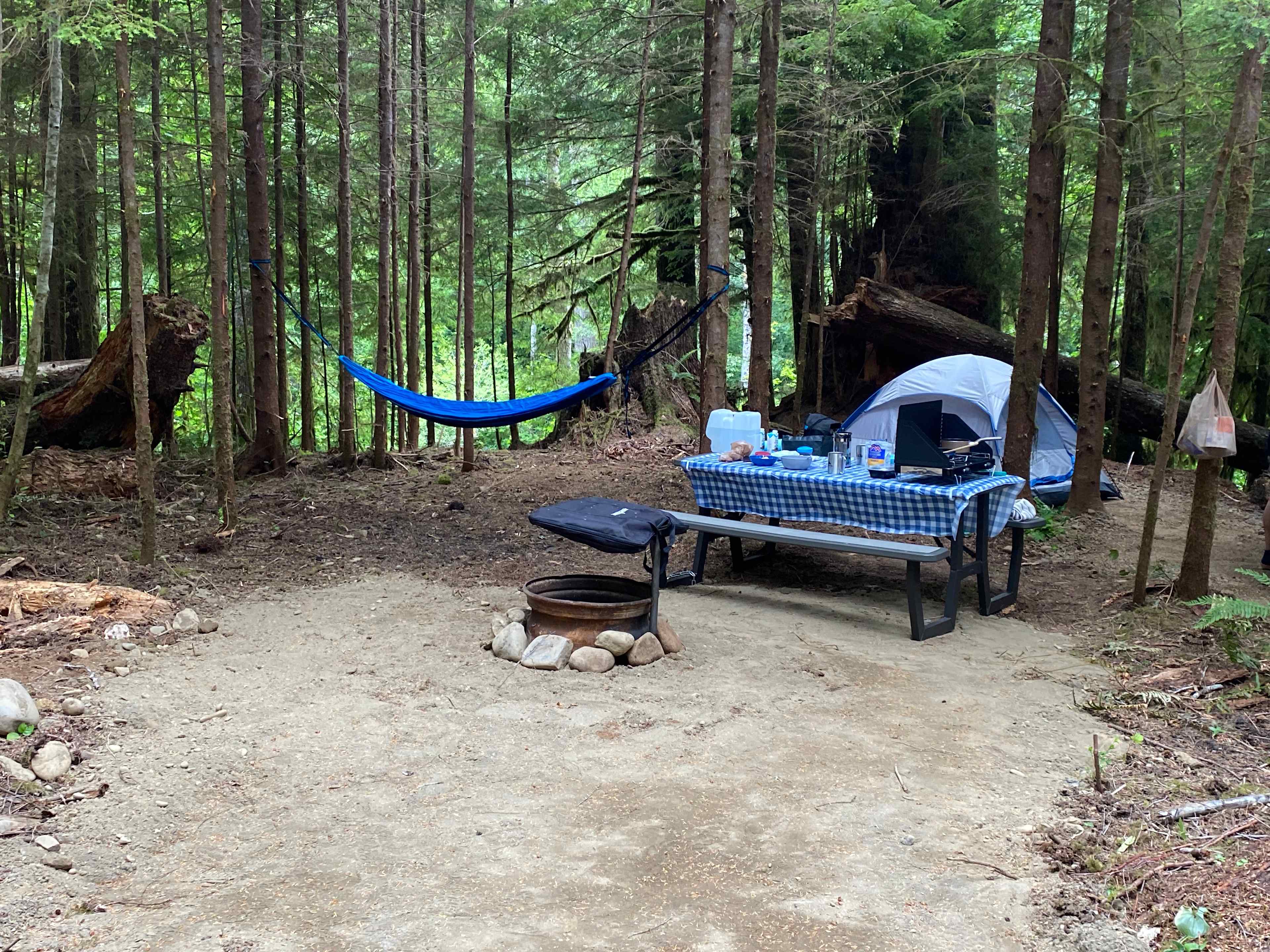 site 12 is a drive up site and holds a 10 by 10 tent and is good for camper vans. 