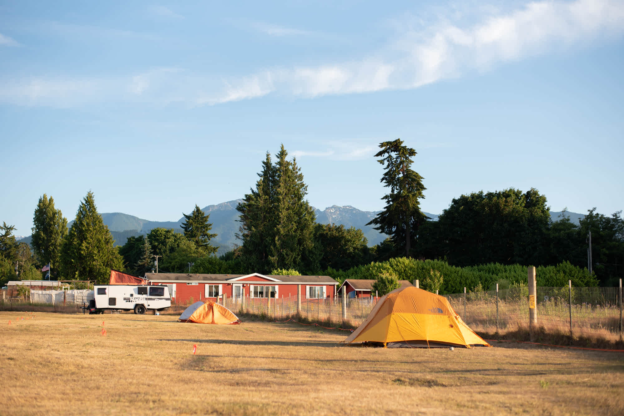 Run w/ Alpacas Farm Stay Port Angeles