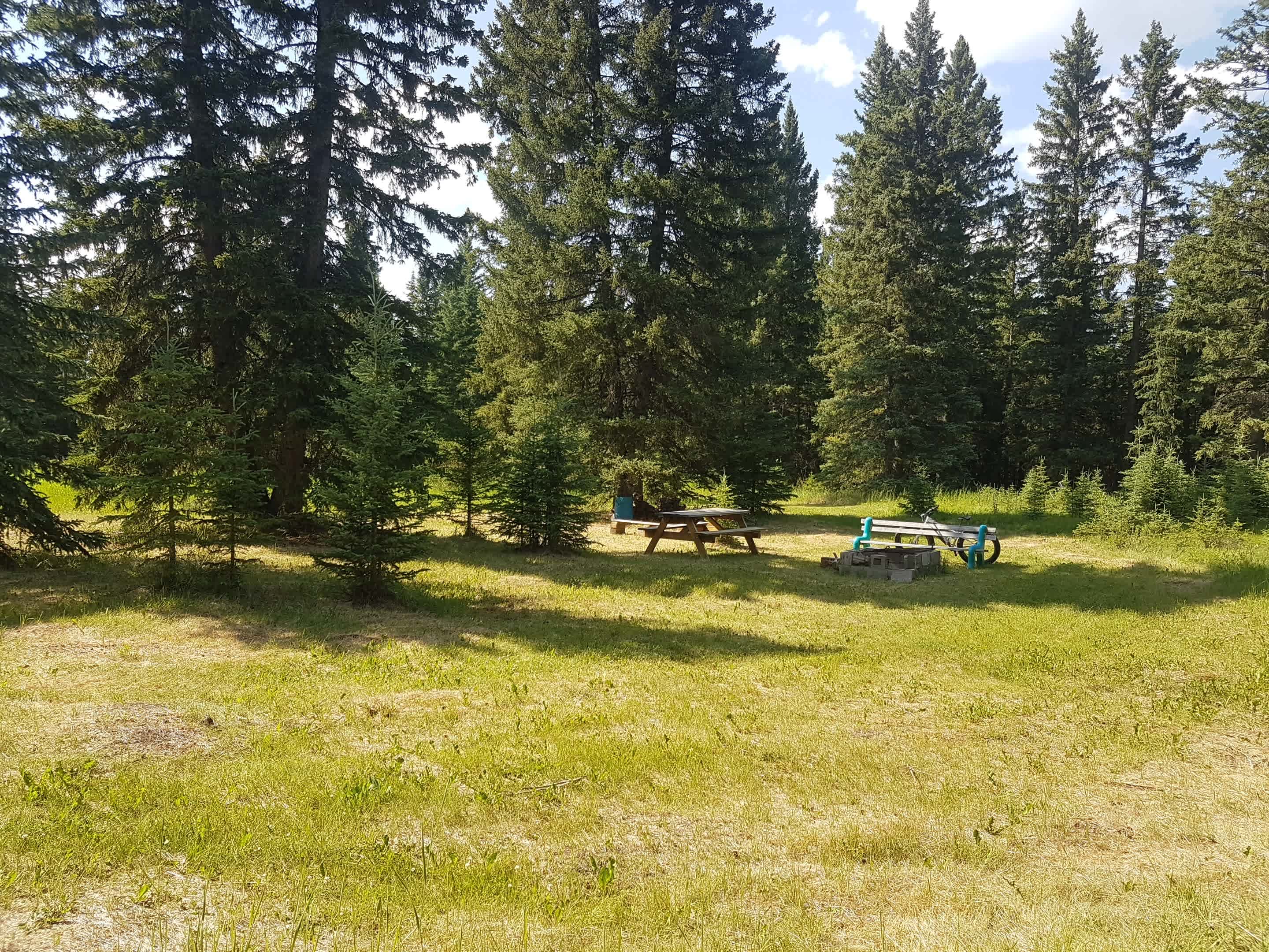 Meadow Site (Site 1) is great for RV's of all sizes.  