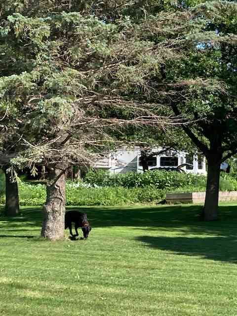 Park on our grassy, level sites