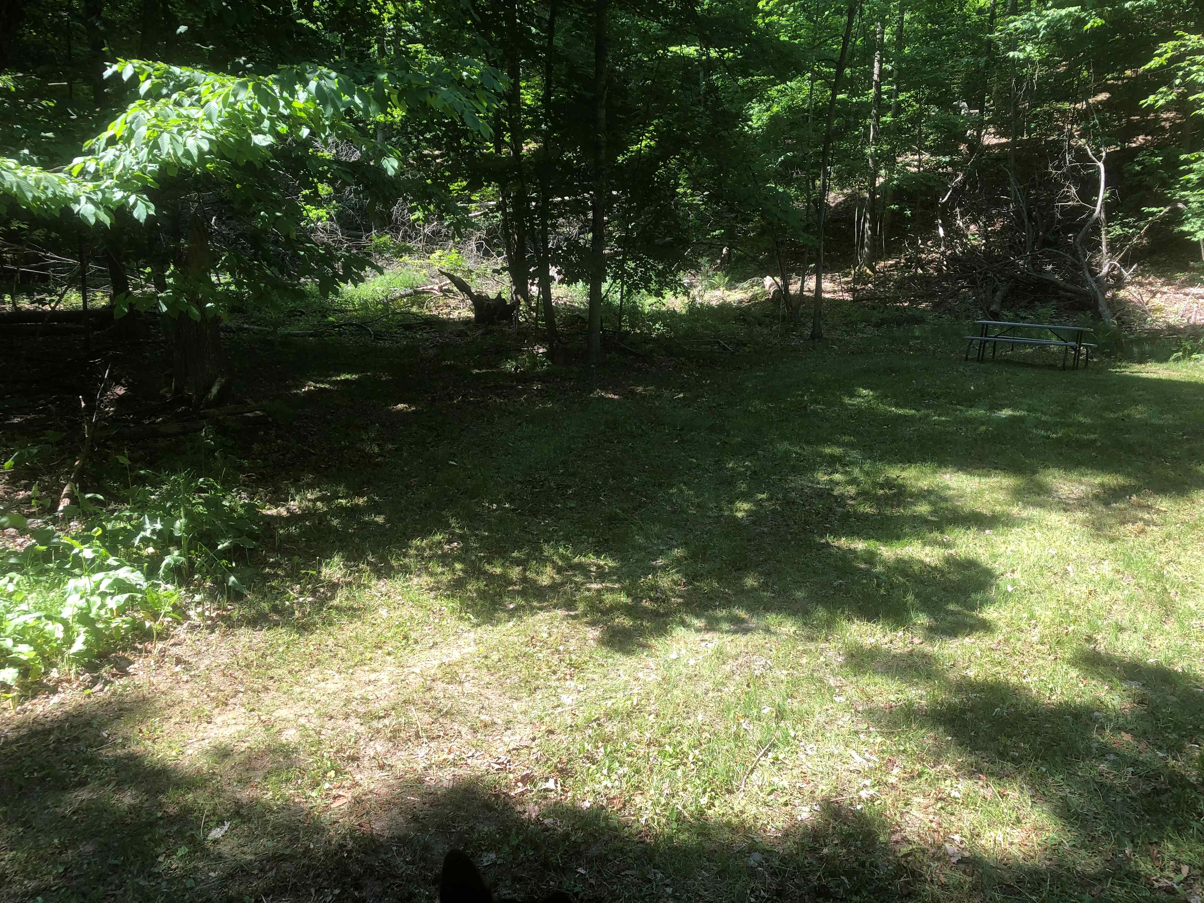 Roger  D.’s Land