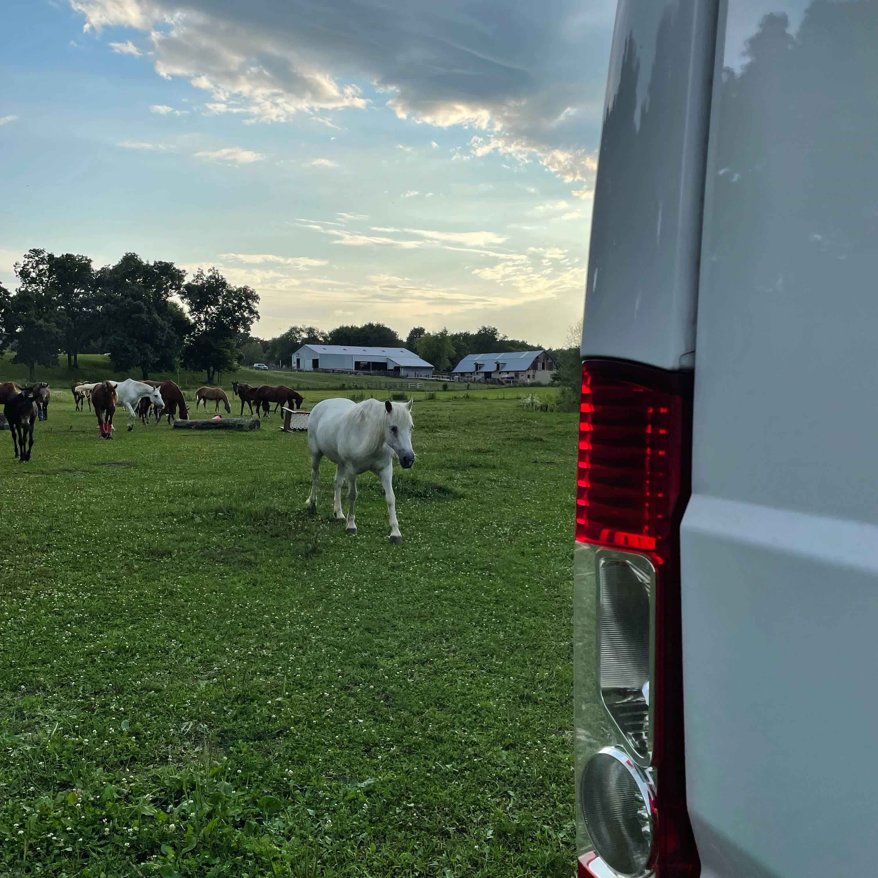 Millbrook Trail Rides