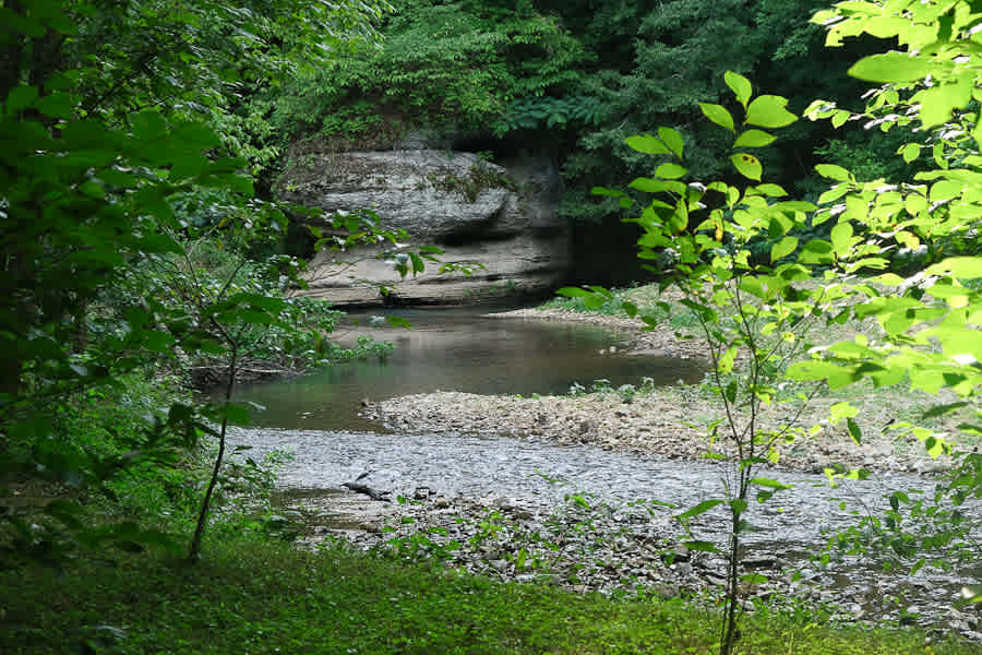 Fox Field Farms Creekside Camping