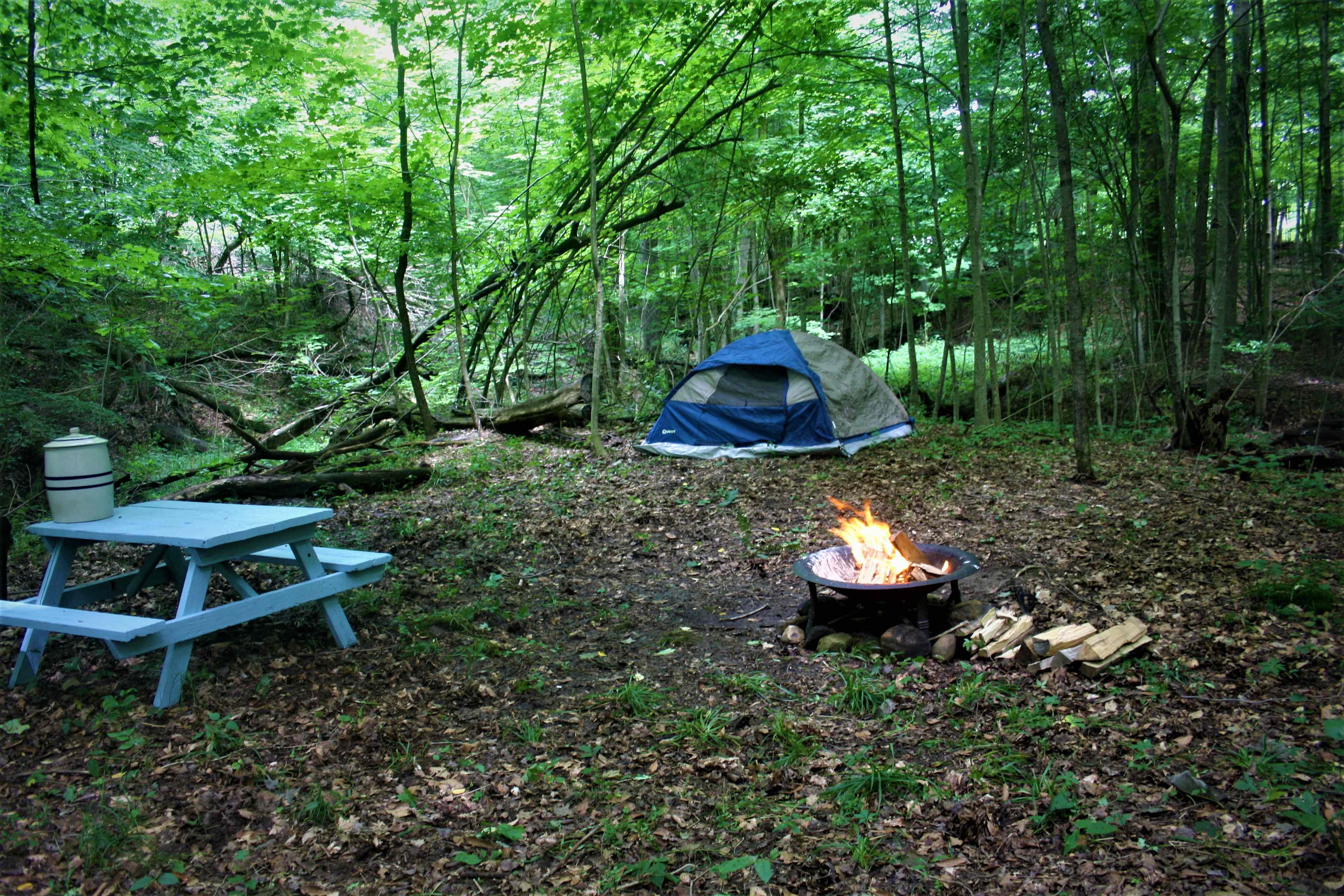 Away From The World