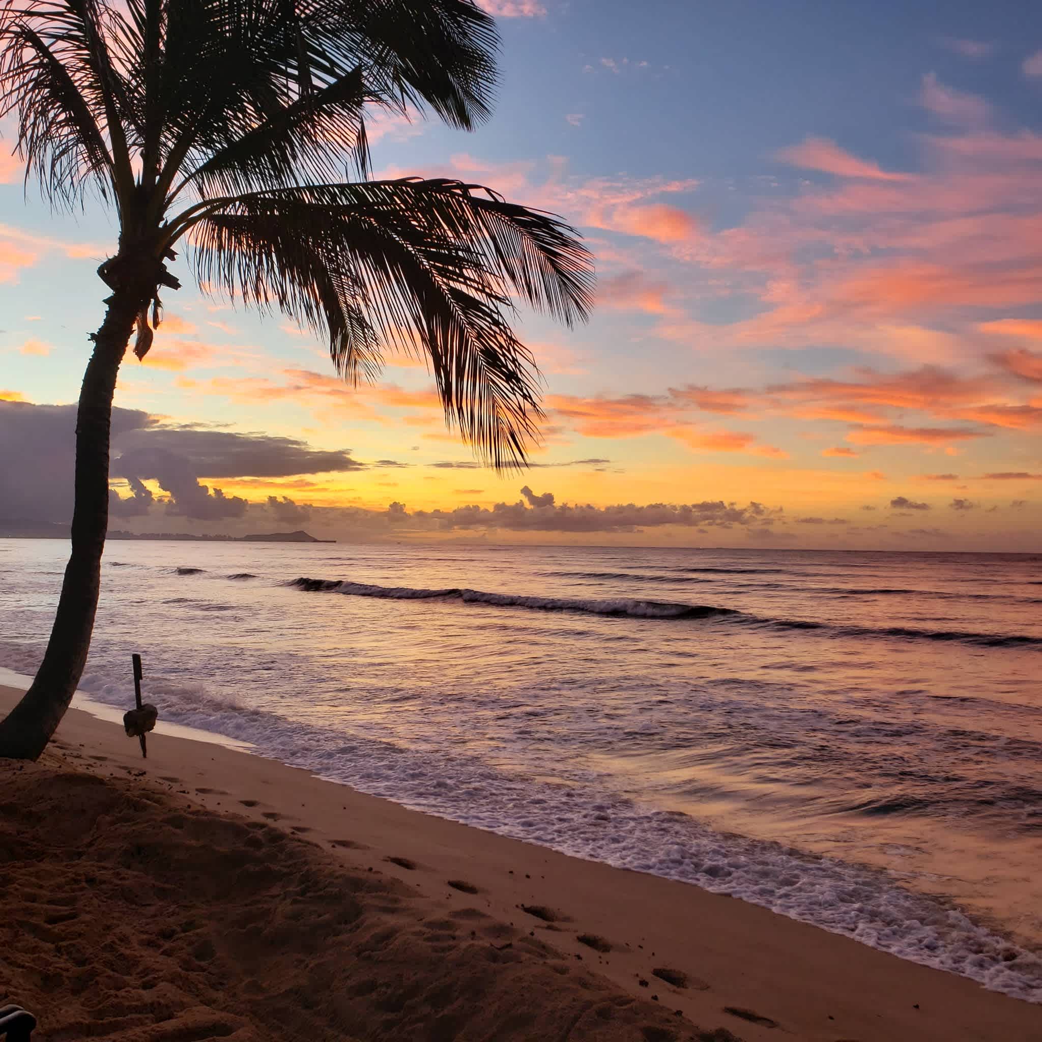 The Beach