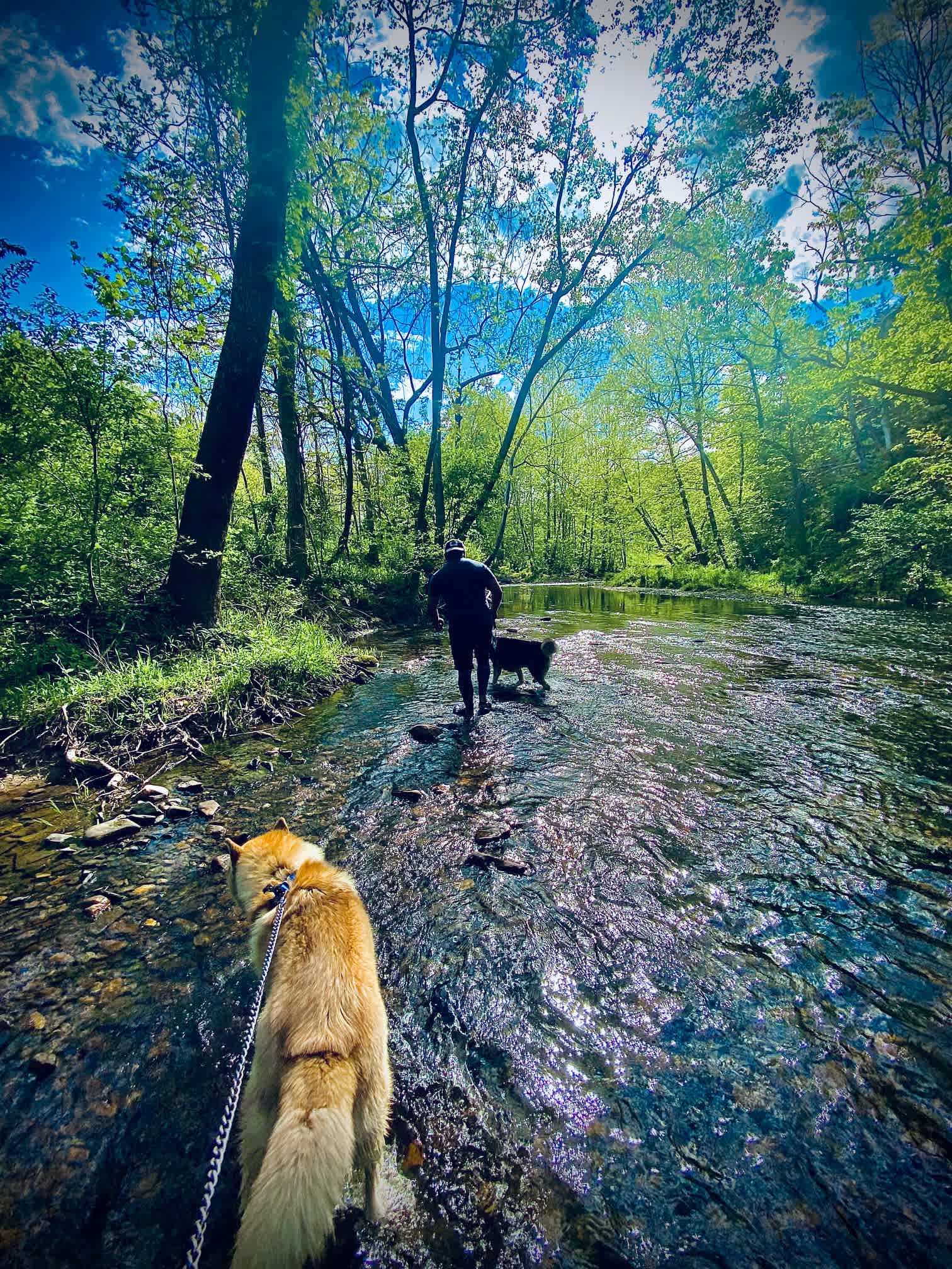 A Hidden Gem