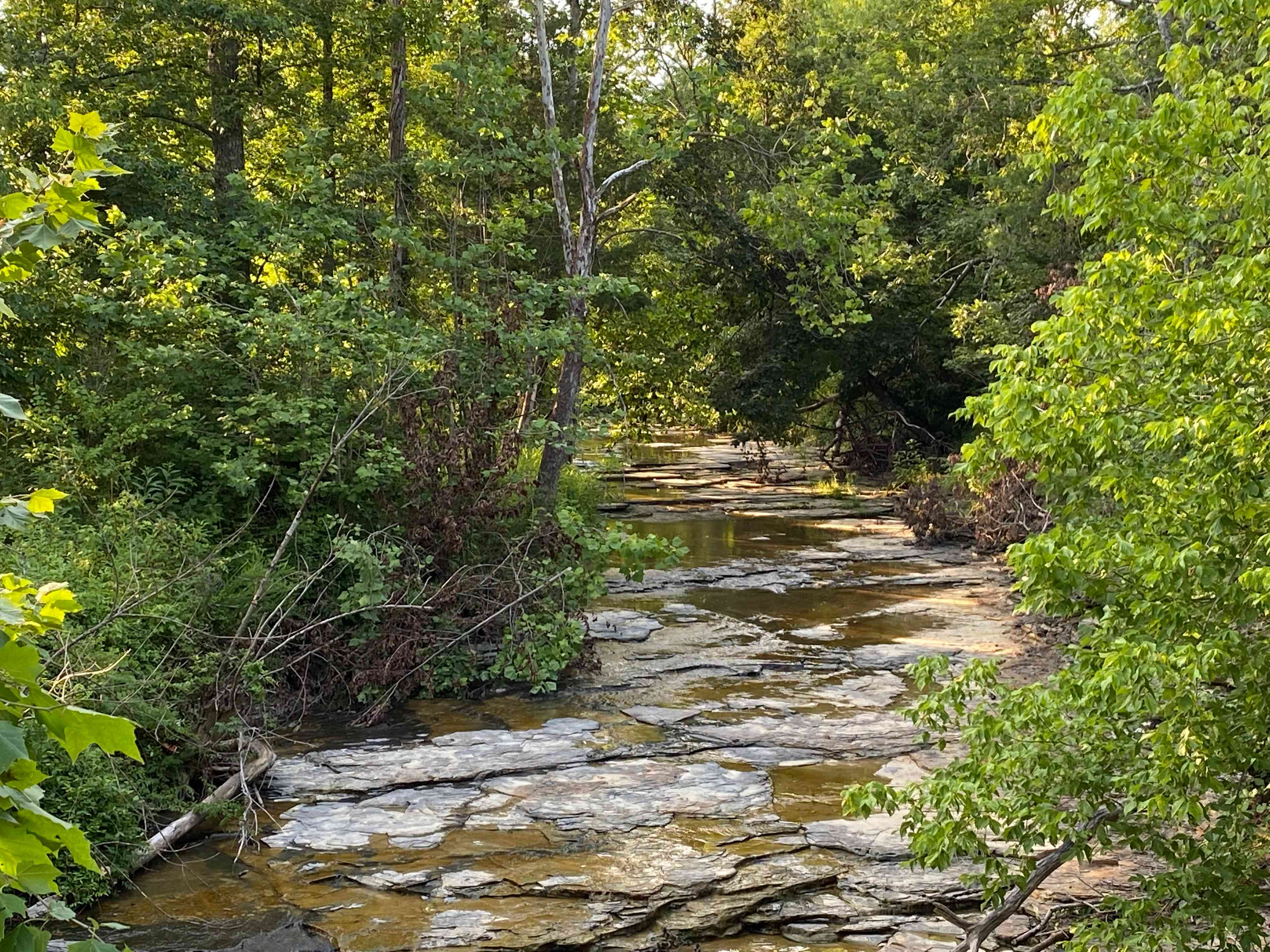 Red Haven Farm Rustic Camping