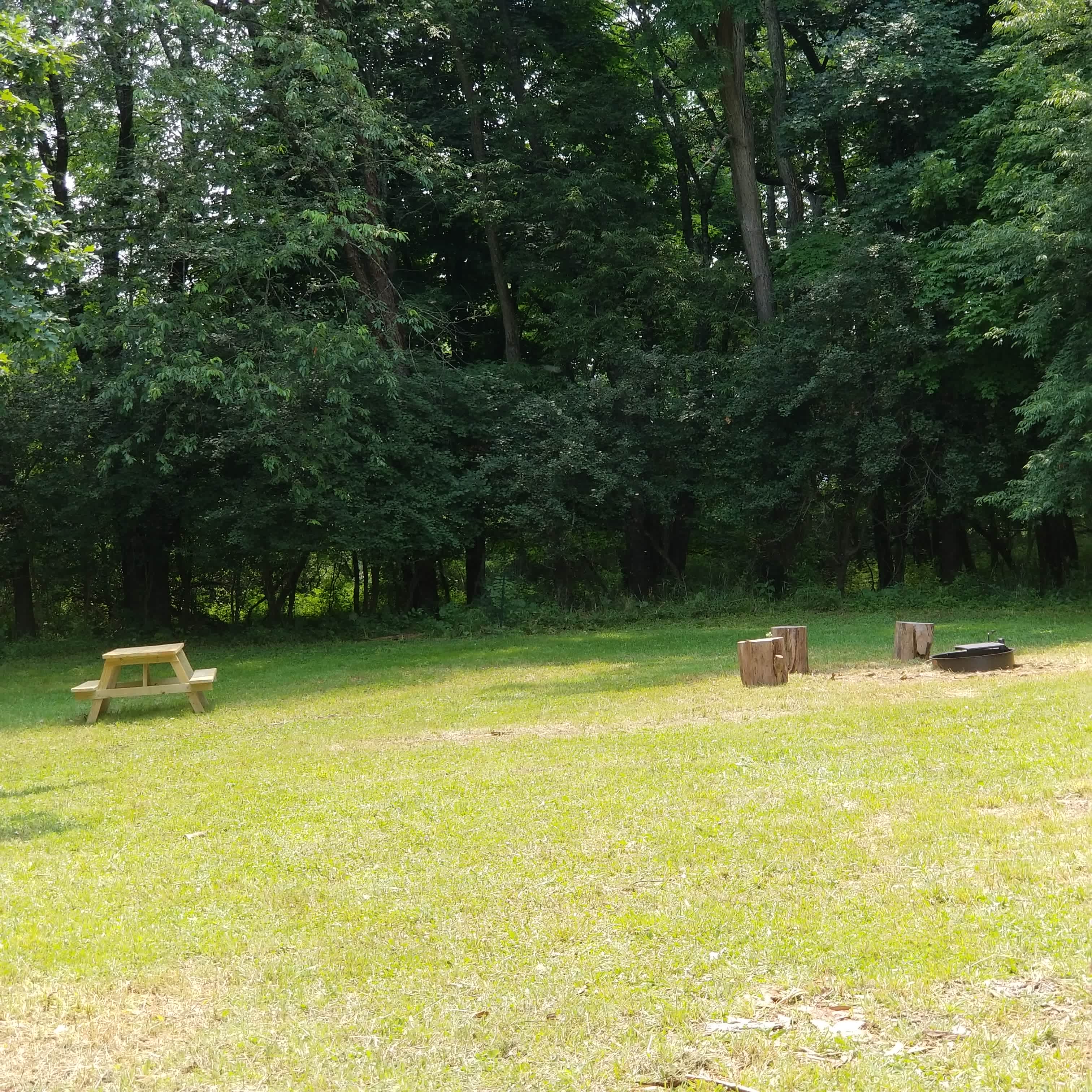 Apple Blossom Camp