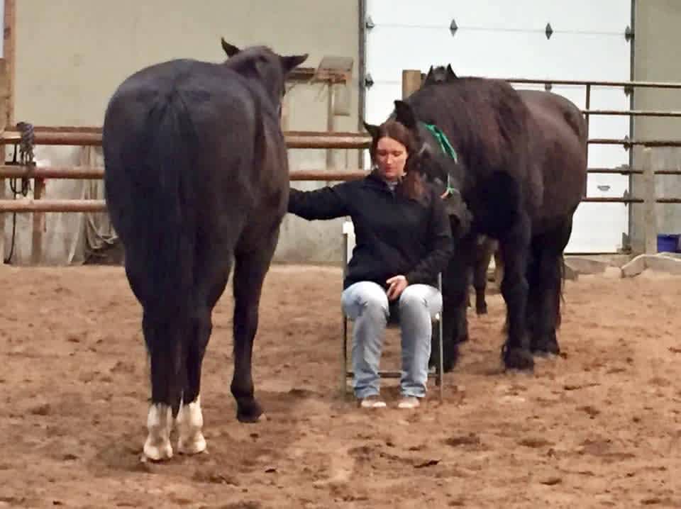 Firefly Horse Co Retreat Farm
