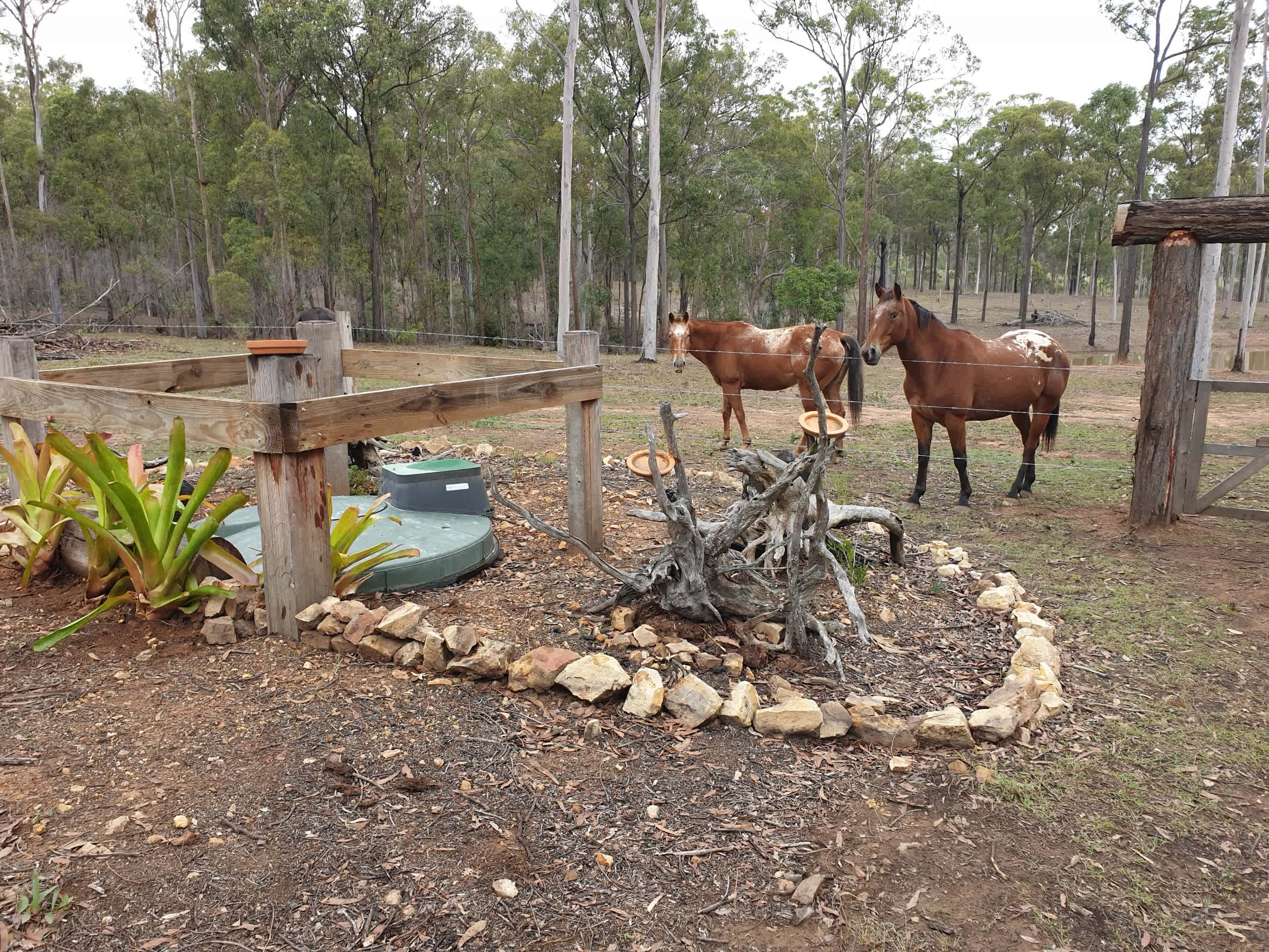 Peaceful Bush Camp-Wrinkles