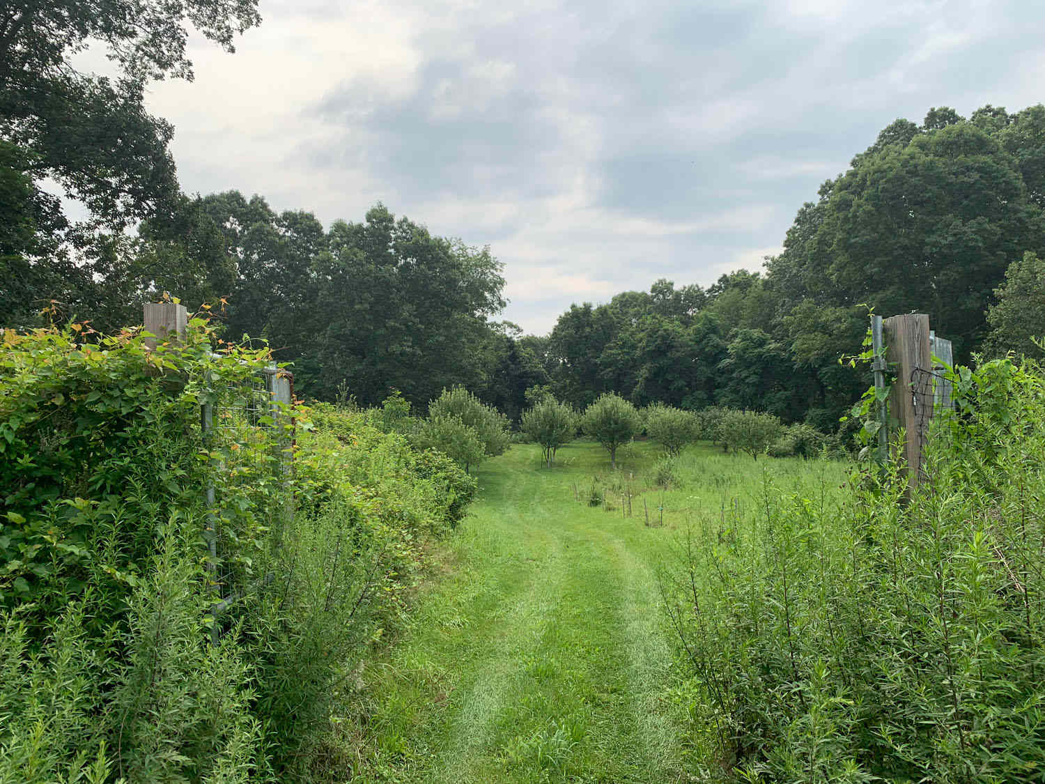 Historic Sundial Farm