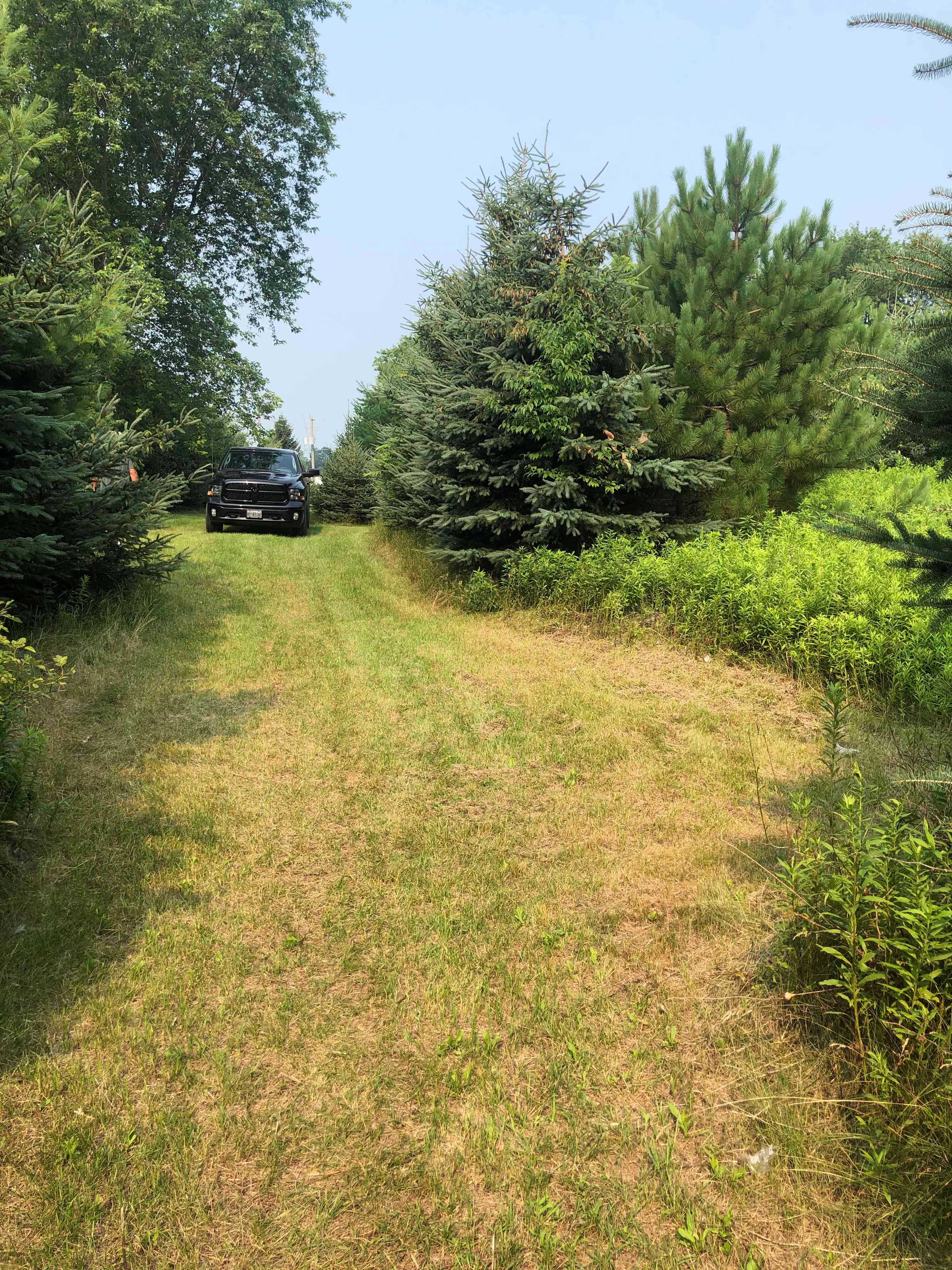 This wider clearing is a recommended spot to set up camp as it is very easy to pull a vehicle up to and is still pretty well secluded.