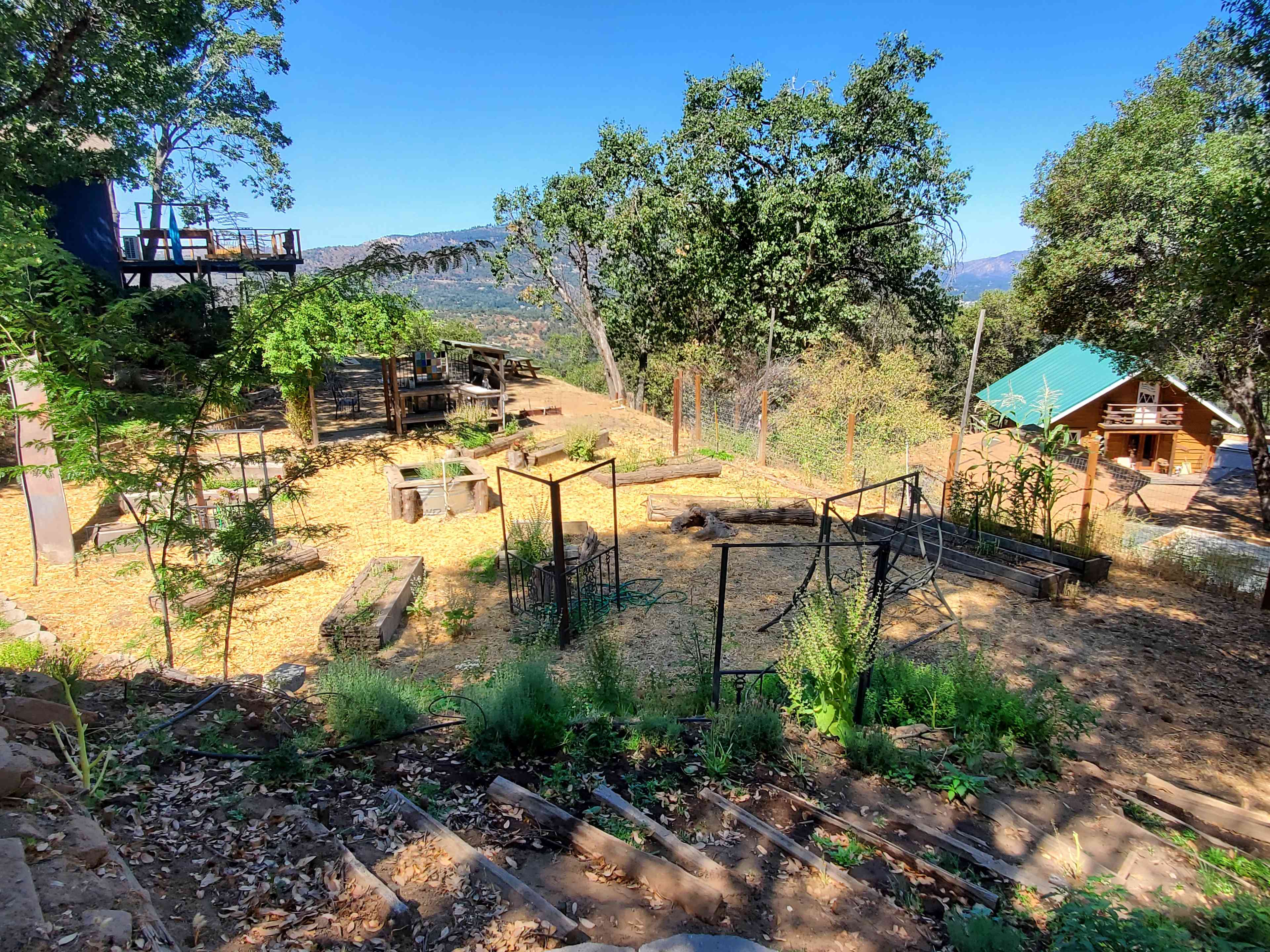 Garden