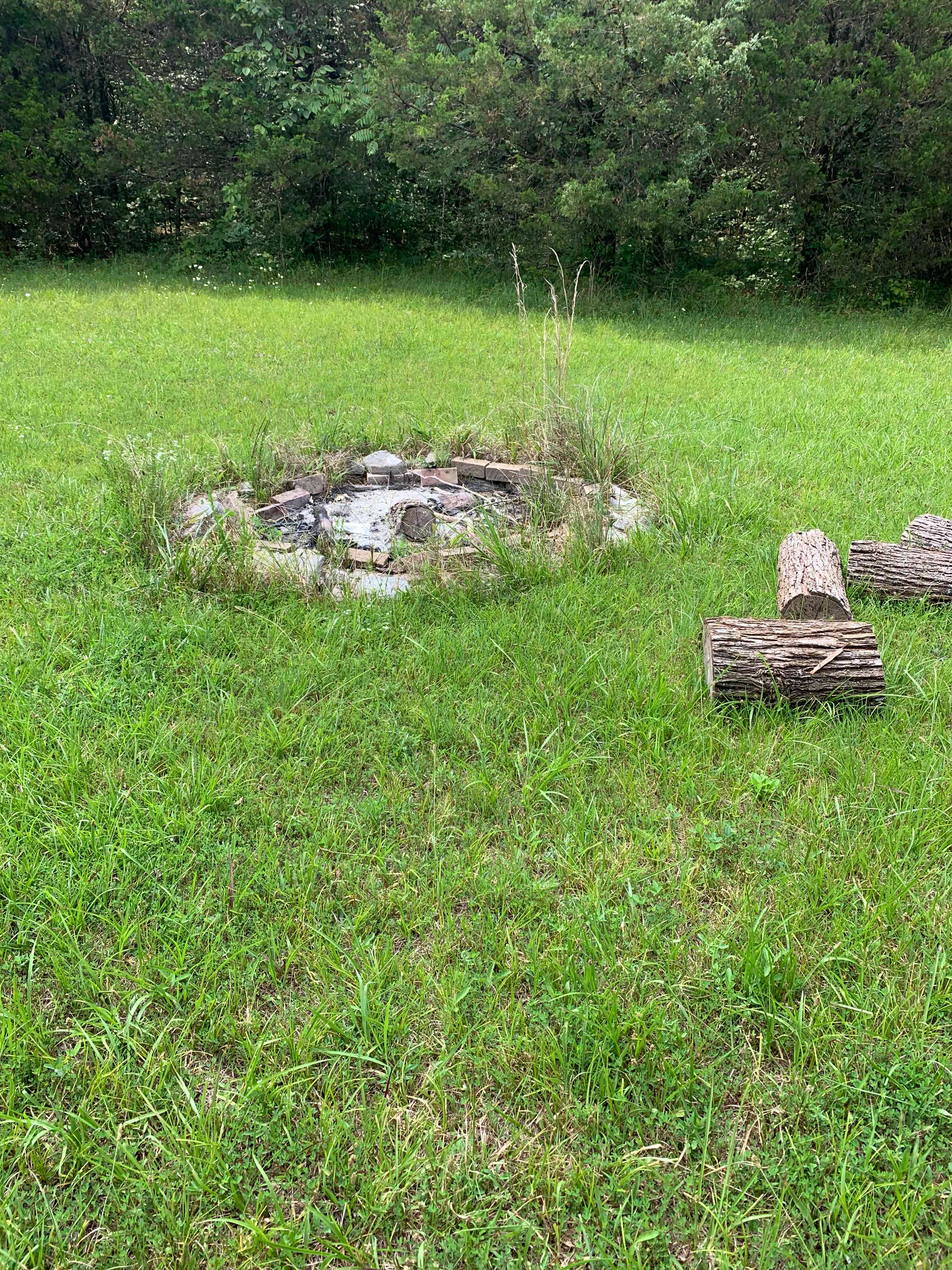 Site 3 tent camping. Level ground