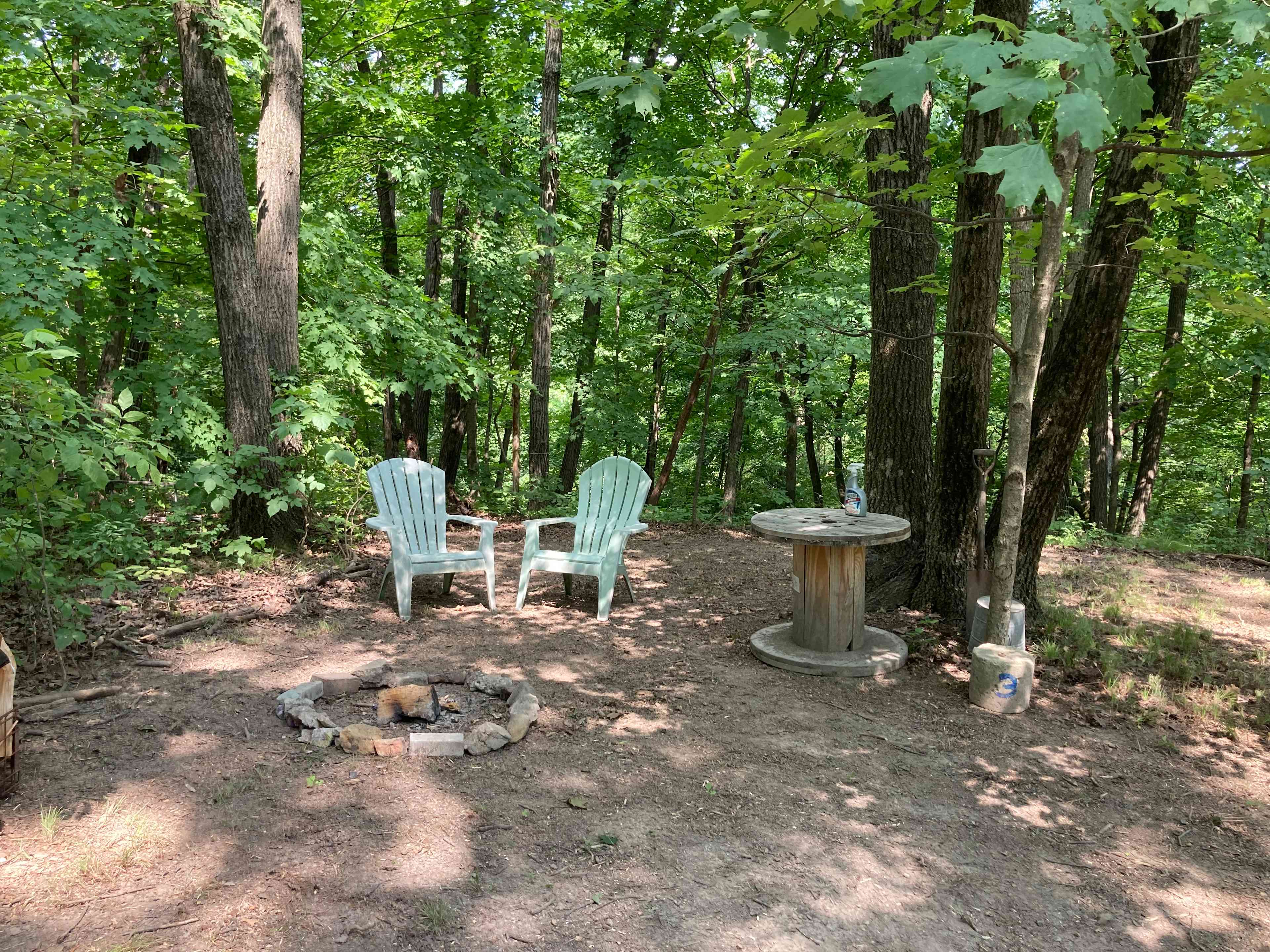Welcome to our Magical Woods