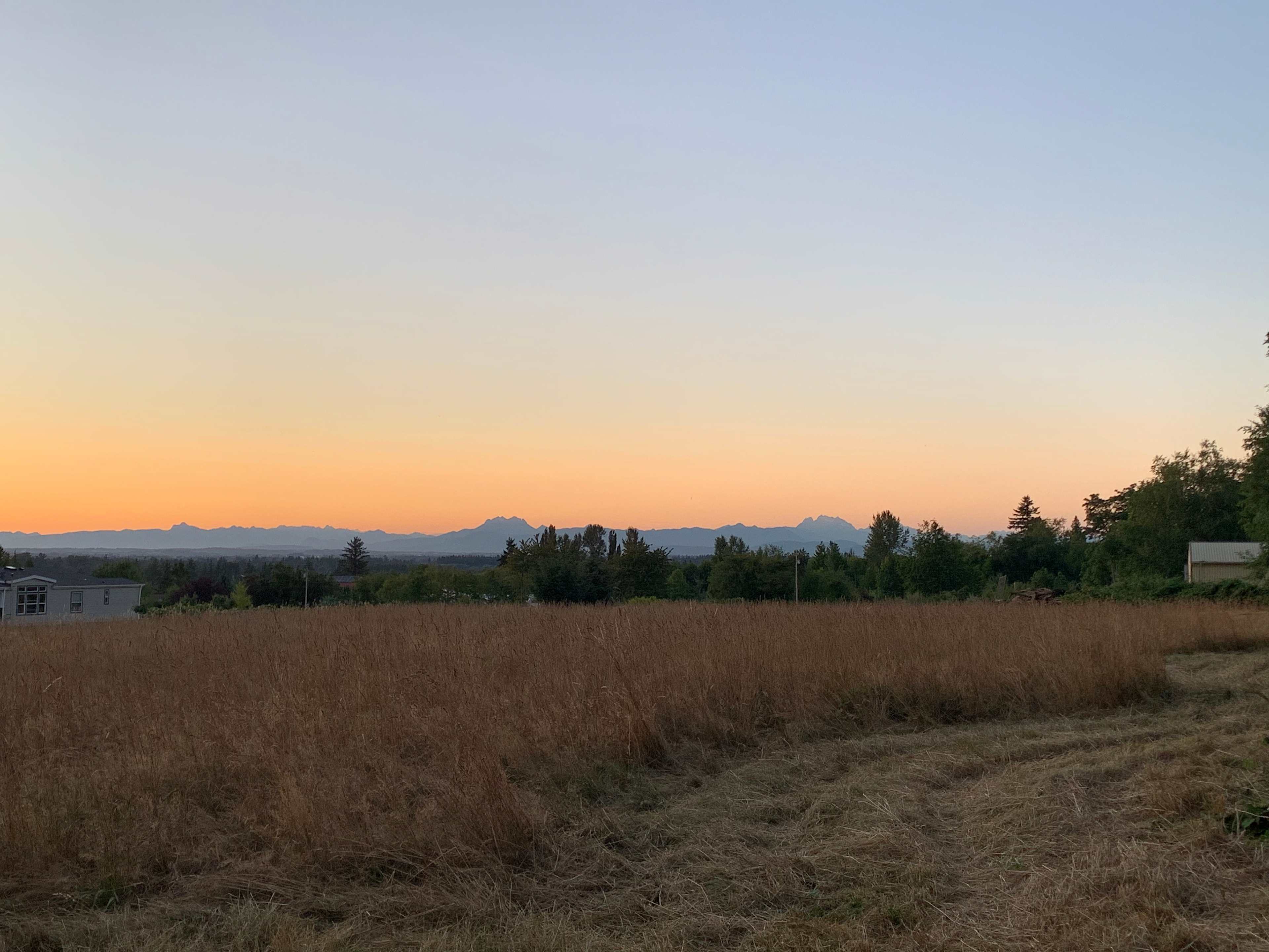 Views of the Canadian mountains from the meadow.
