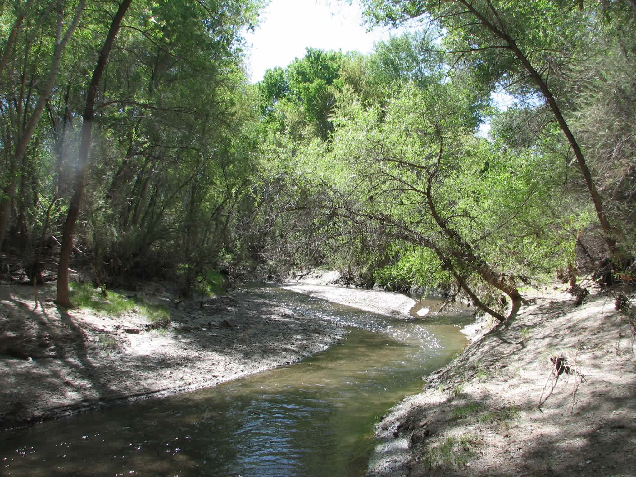 Paul S.’s Land
