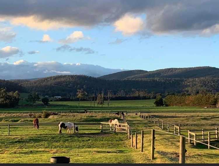 The ever changing view from your Caravan/Tent/Float 