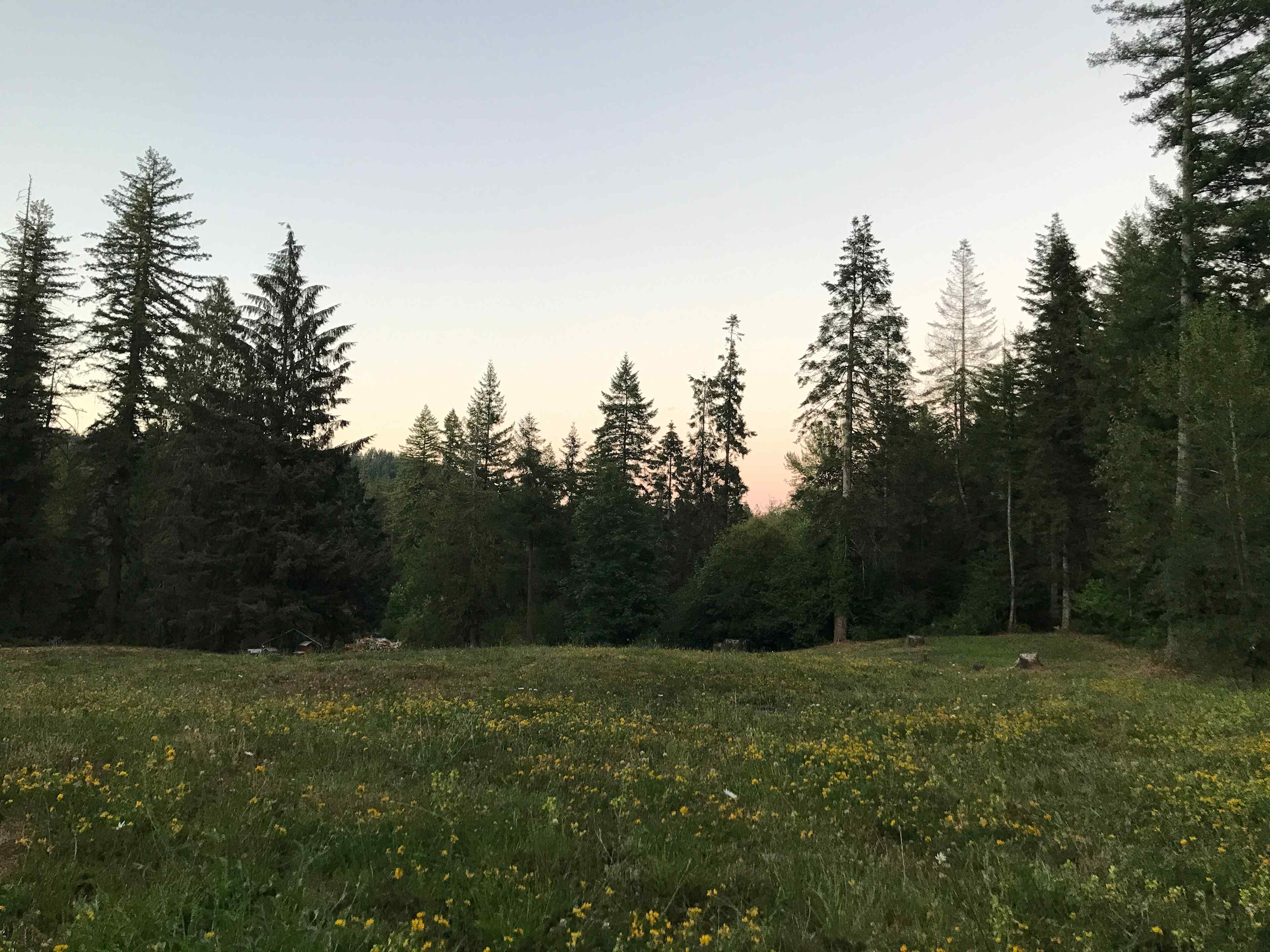 River Mountain Meadow