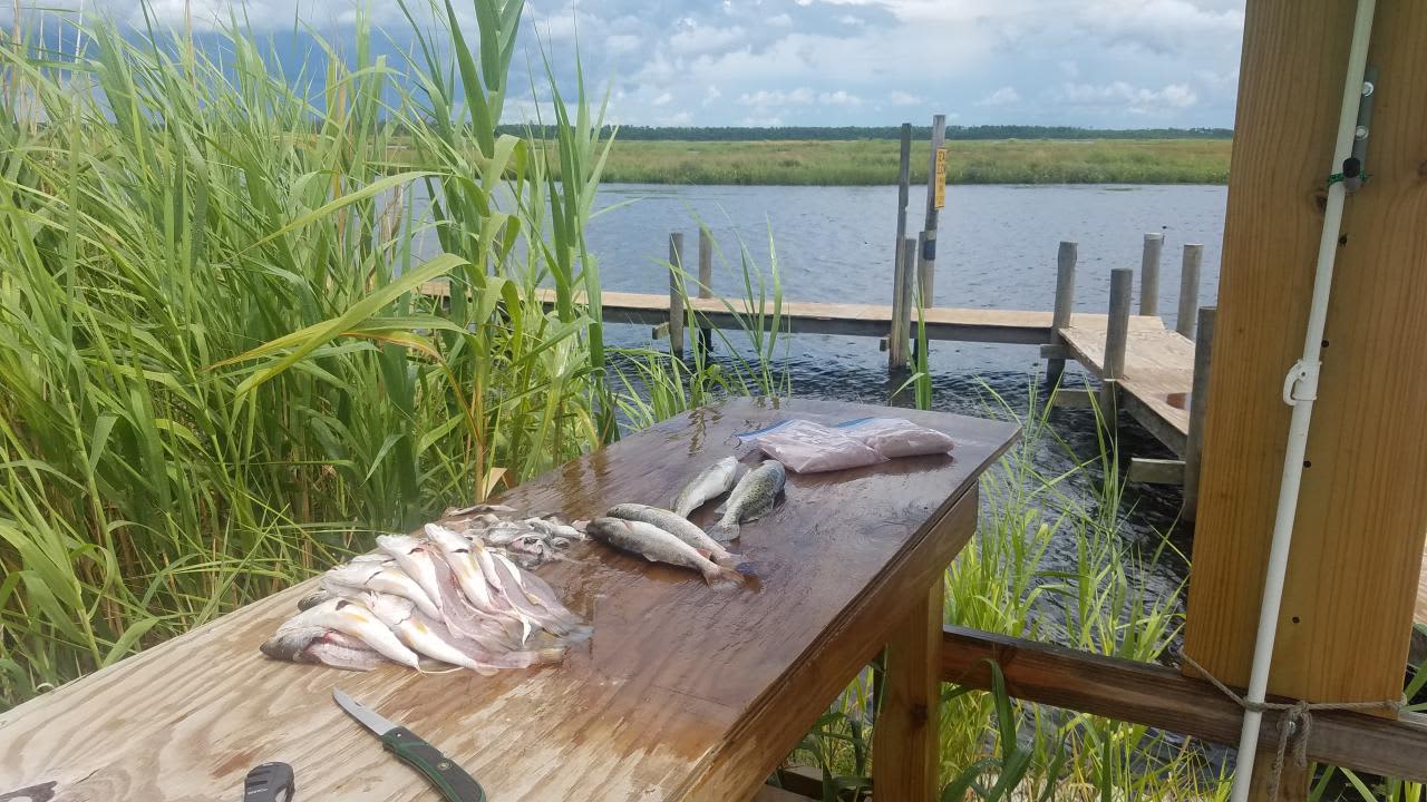 Fish cleaning area on the big dock. 