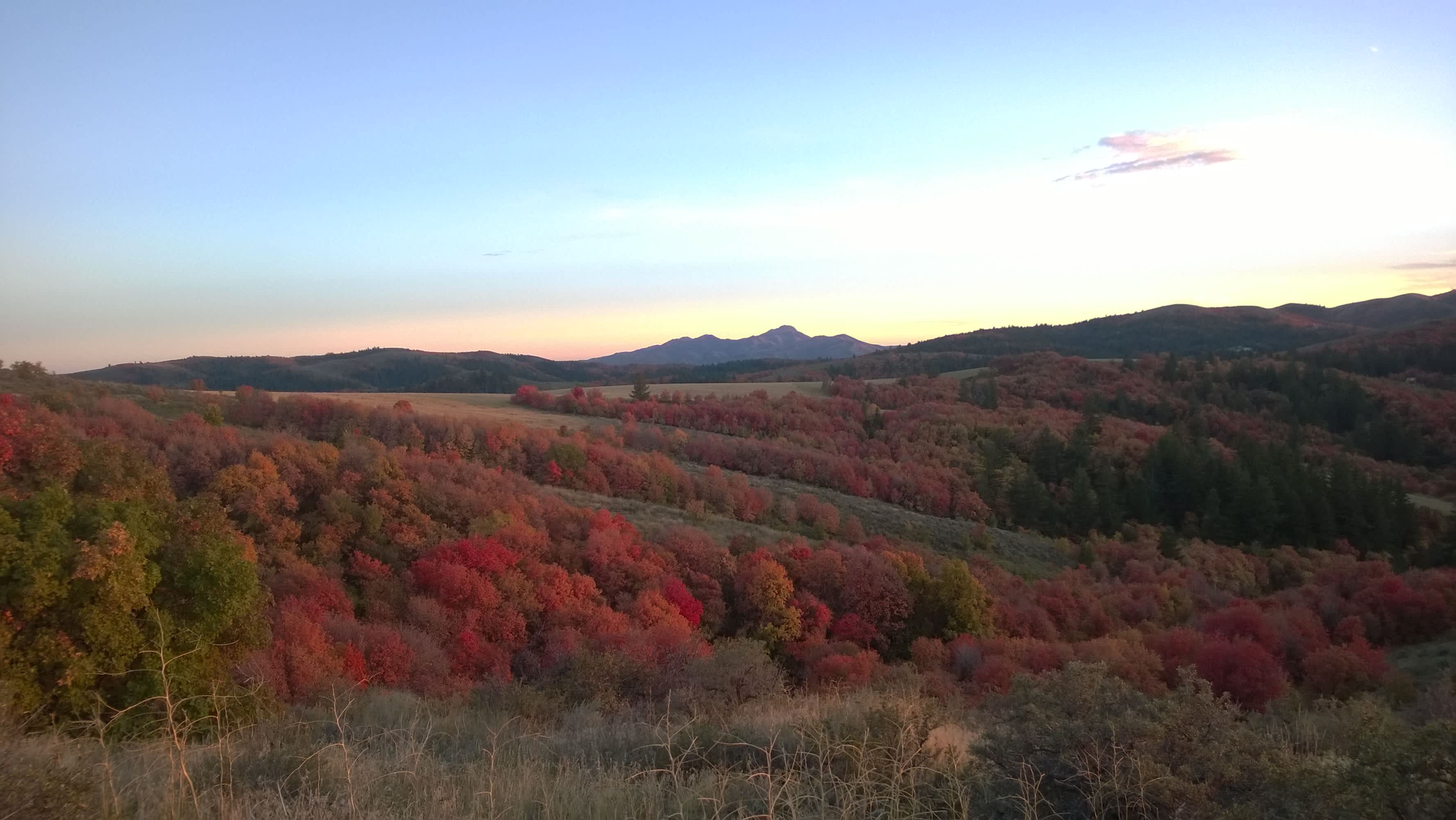 Moonlight Mine Acres