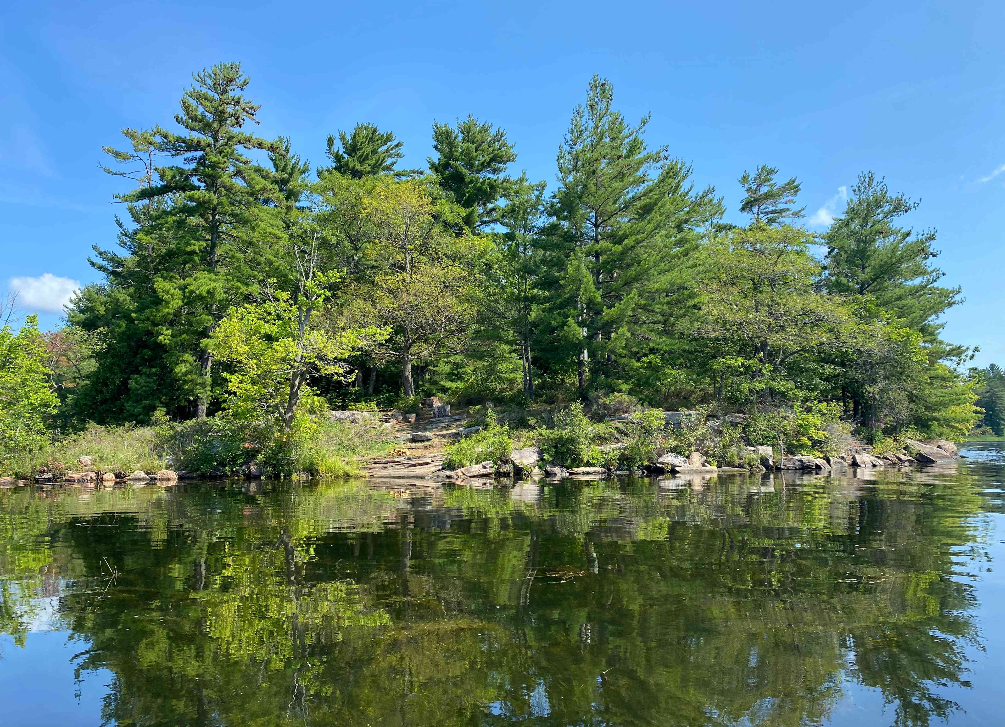 Sparrow Lake Camp